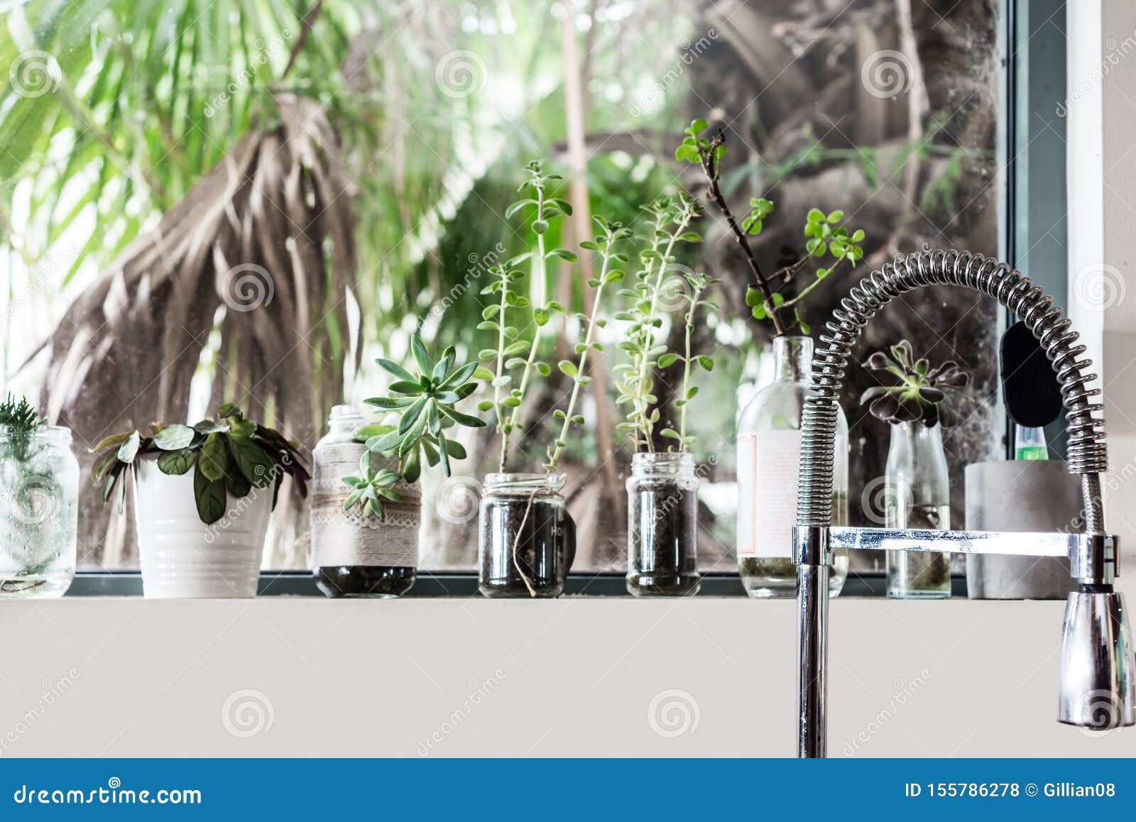 Plants on Kitchen Windowsill Stock Photo Image of upcycle, plants