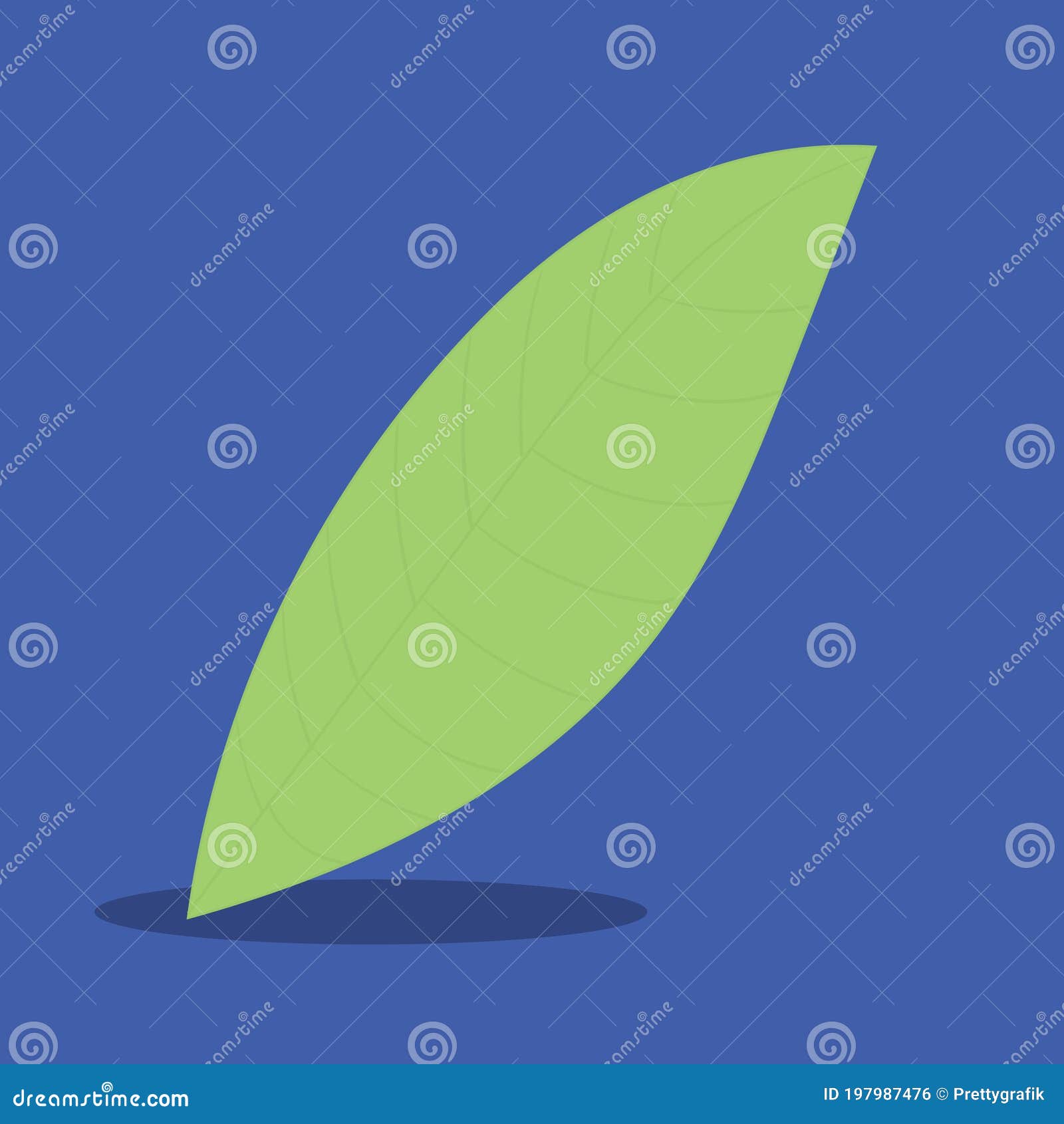 Plants Tea Leaf Garden Sketch Drawing Isolated Vector Set Of