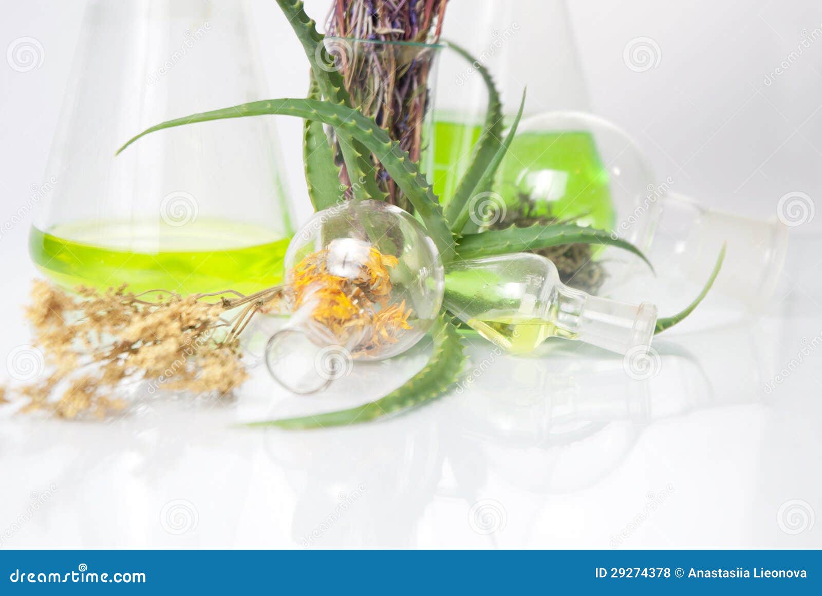 Plants. Natural chemistry stock photo. Image of 29274378