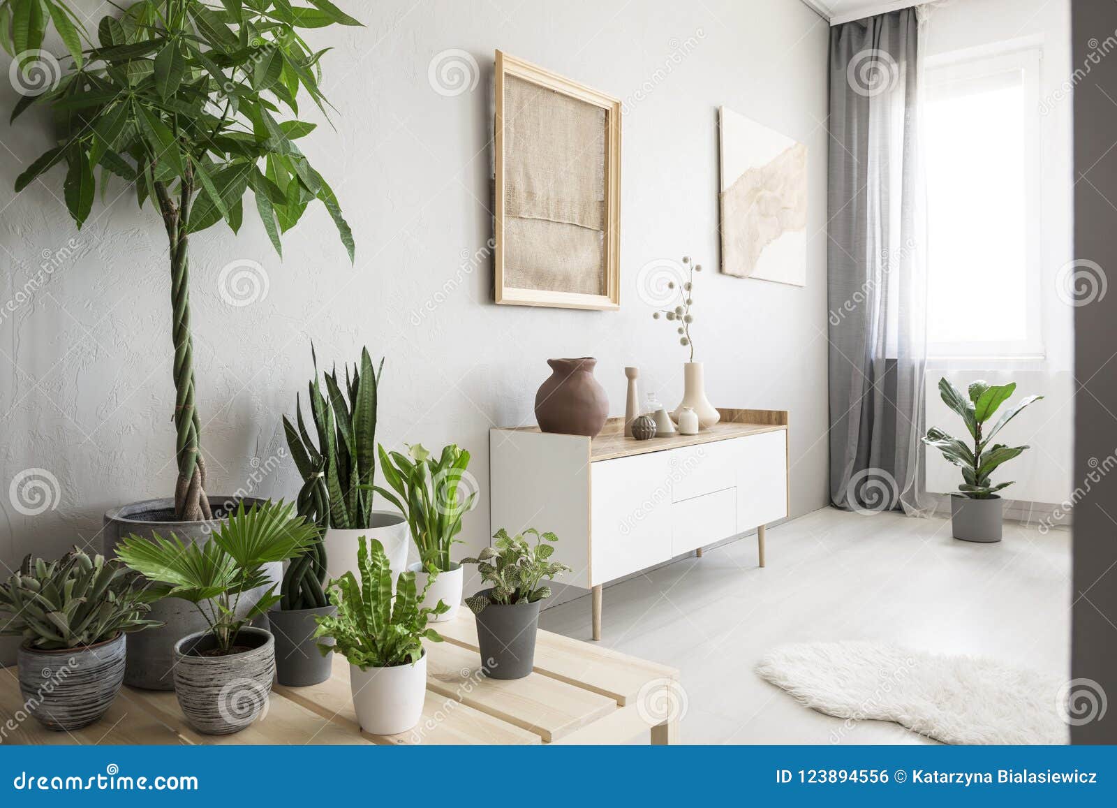 Plants Next To White Cupboard Under Poster In Bright Living Room