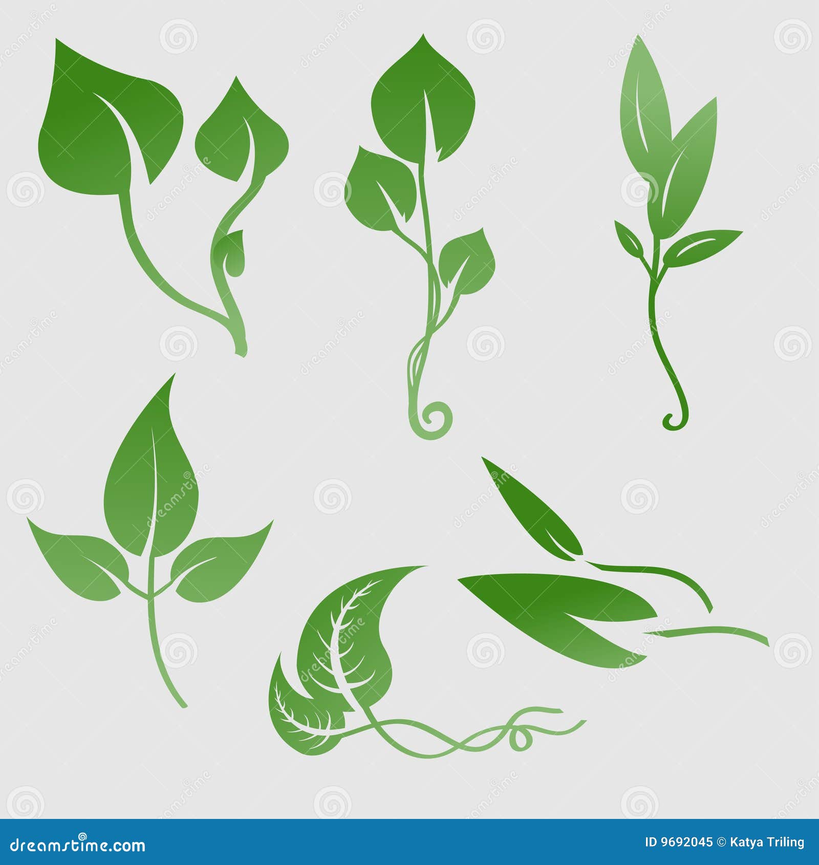 Plants silhouettes stock vector. Illustration of garden - 9692045