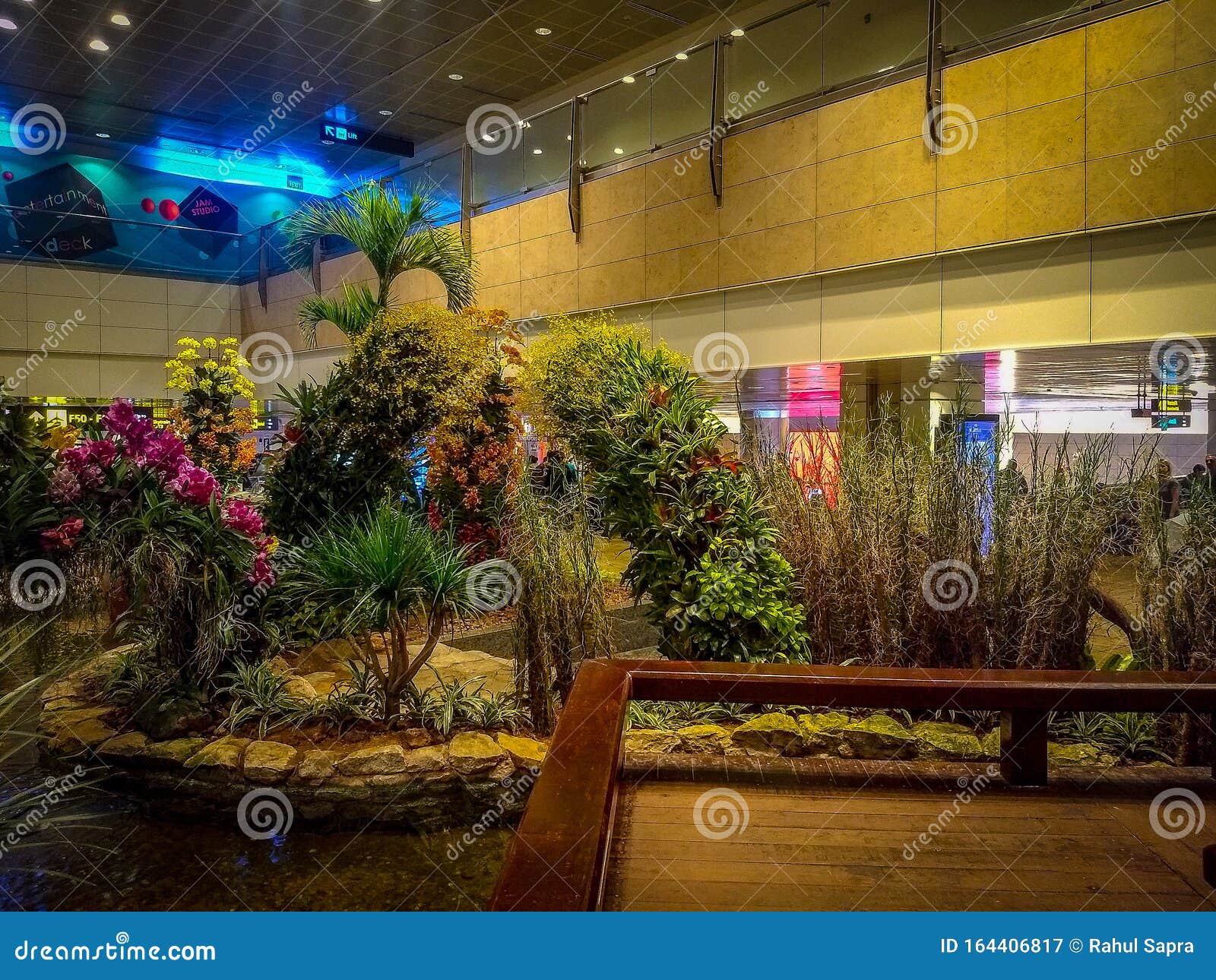 Plants at Singapore Airport, Singapore Airport Inside View, Airport