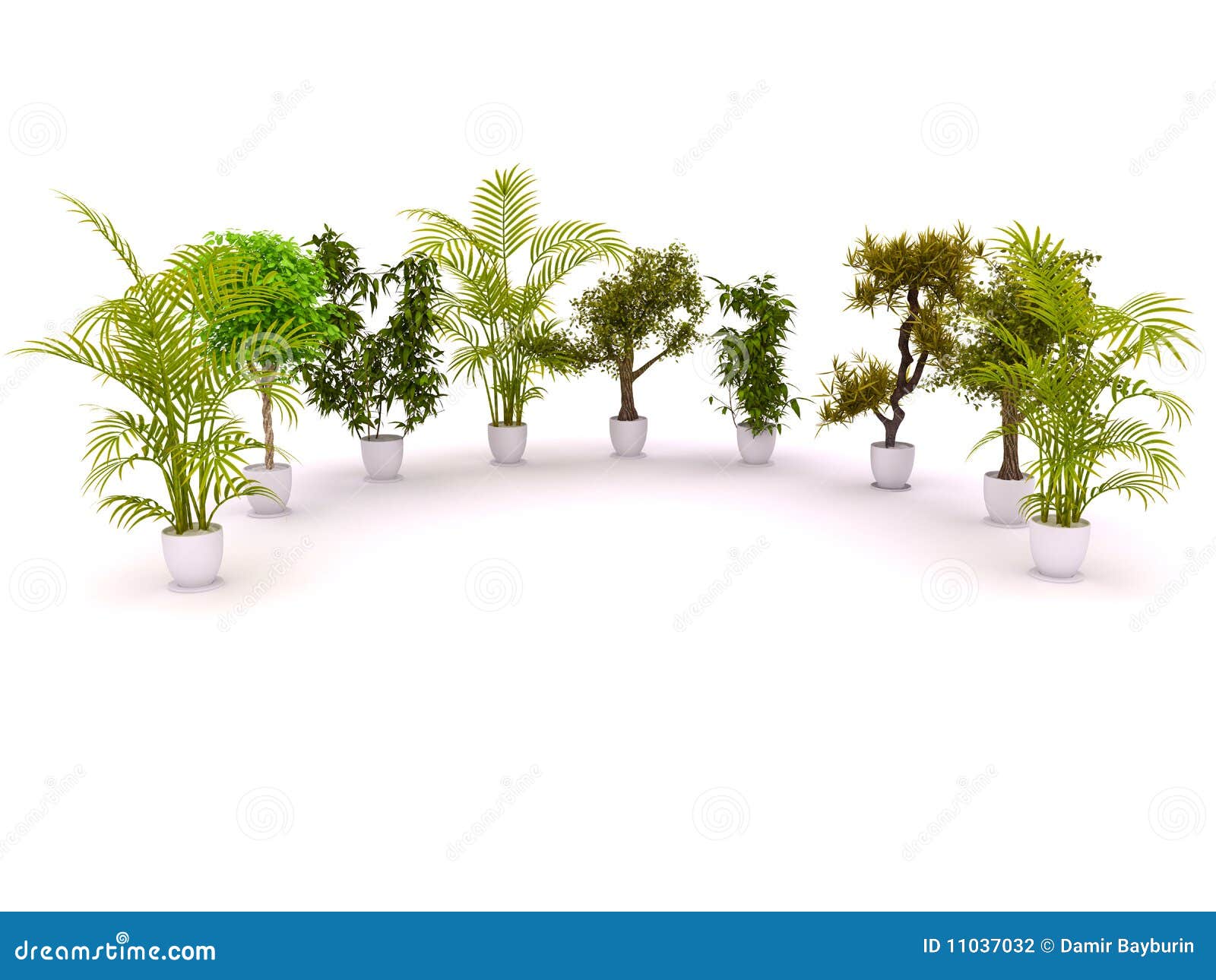 plants standing semicircle
