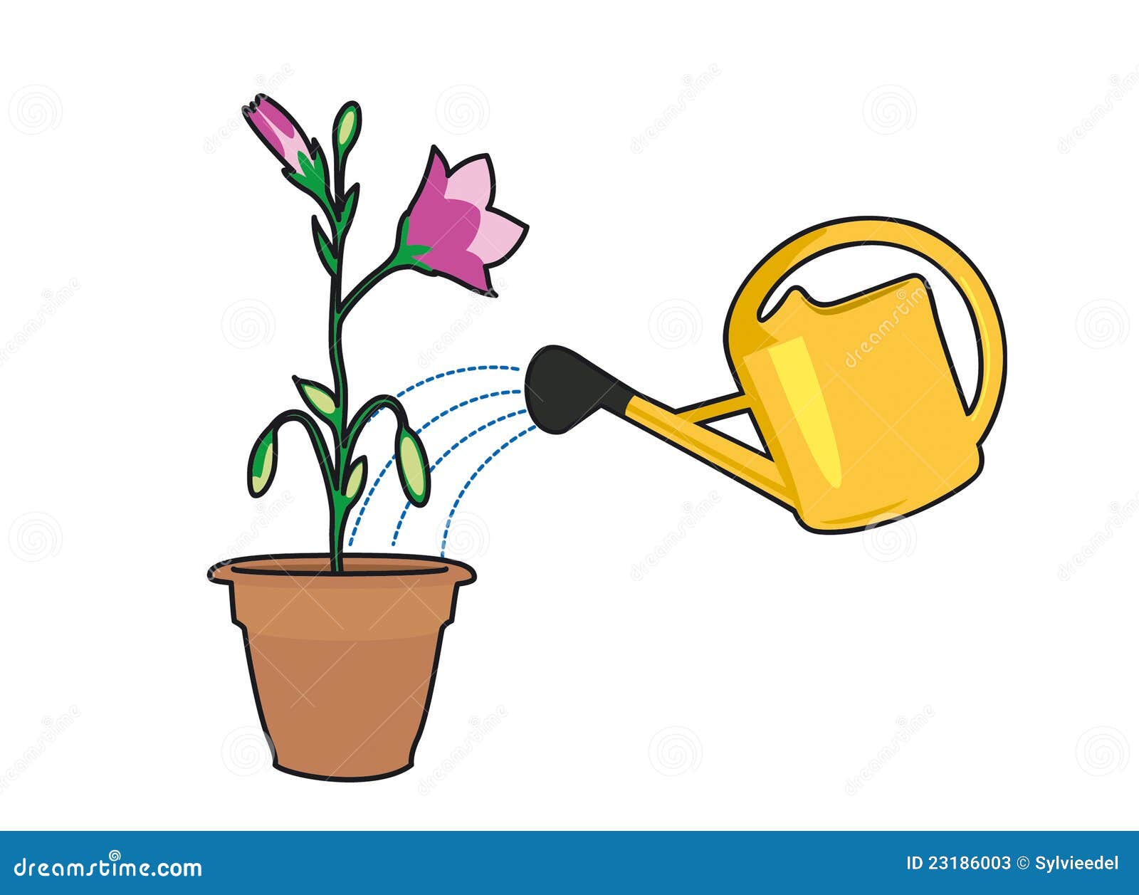Plants Watering Can Stock Illustrations 856 Plants Watering Can Stock