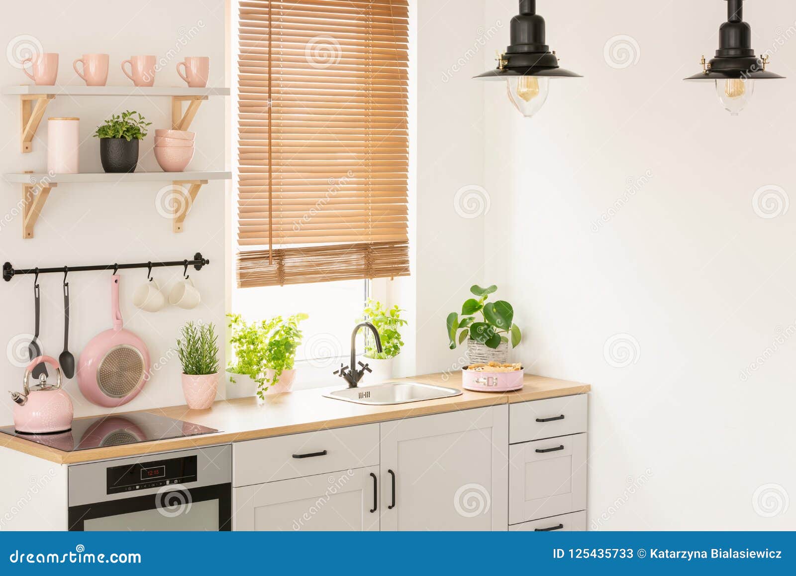 plants on wooden countertop in kitchen interior with blinds, lam
