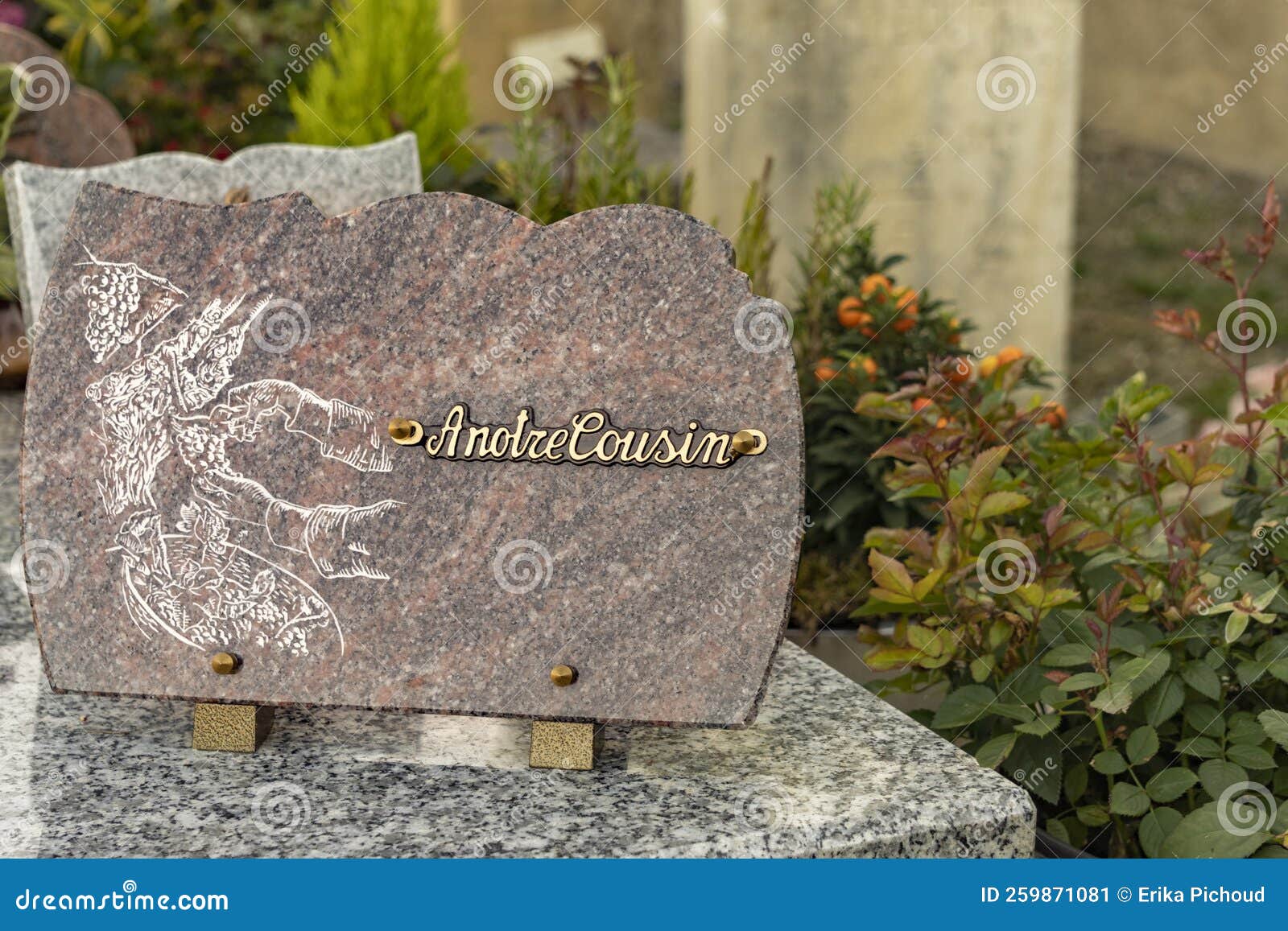 https://thumbs.dreamstime.com/z/plaque-fun%C3%A9raire-avec-inscription-%C3%A0-notre-cousin-fermer-259871081.jpg