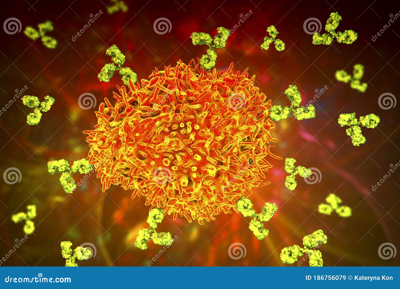 Plasma cell and antibodies stock illustration. Illustration of