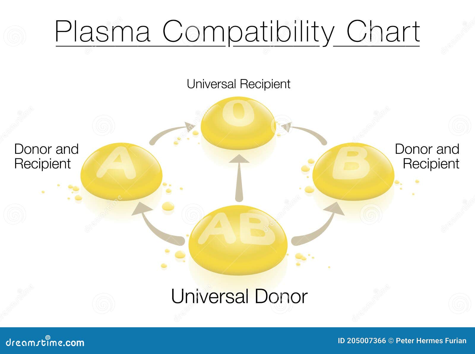 plasma-donation-compatibility-chart-universal-donor-recipient-transfusion-blood-stock-vector