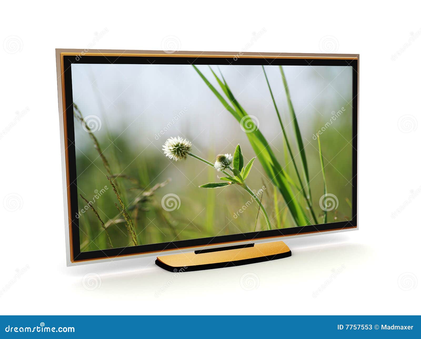 Plasma tv stock illustration. Illustration of nature, luxury - 7757553