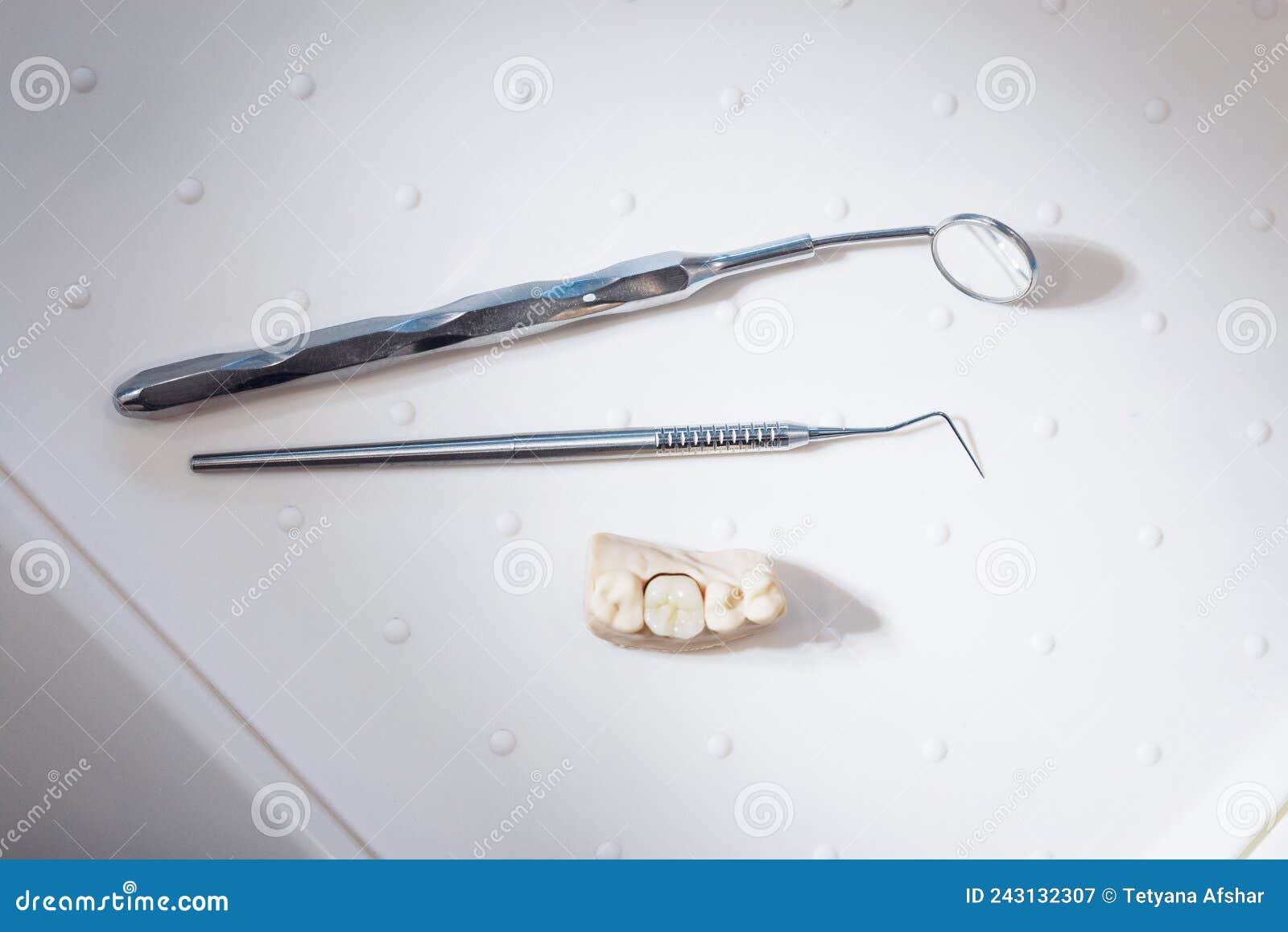 Plaster Cast of Teeth, Tooth Explorer and Dental Mirror Stock Image