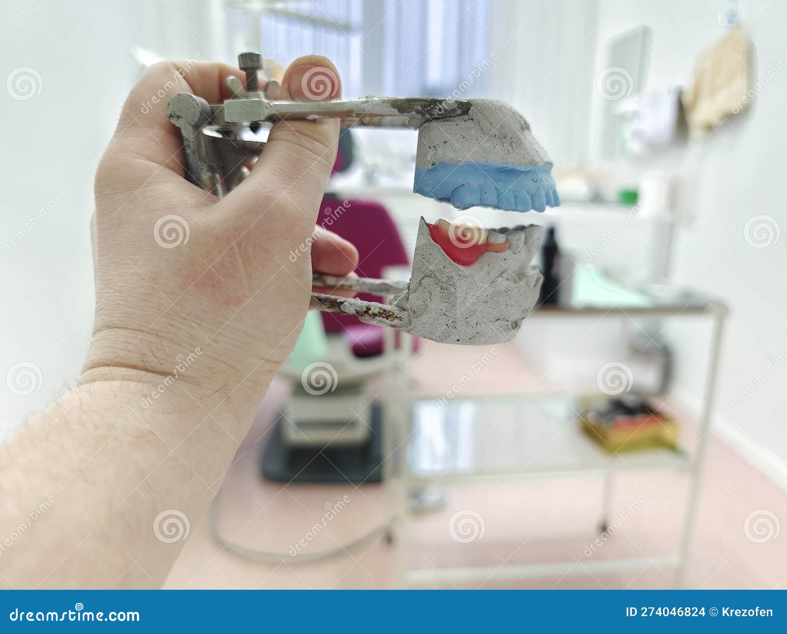 Plaster Model with Artificial Teeth for Making a Denture Stock Photo