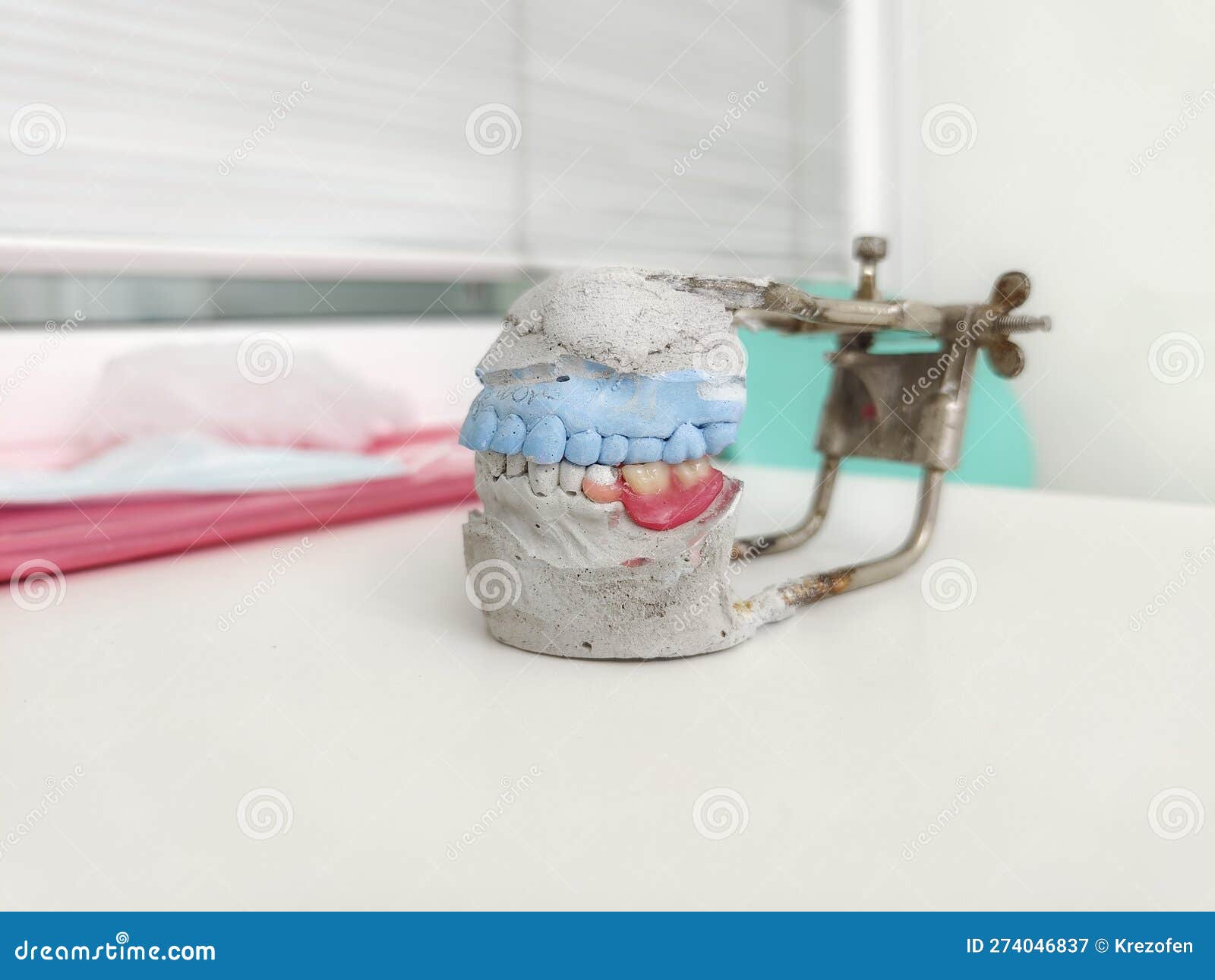 Plaster Model with Artificial Teeth for Making a Denture Stock Image
