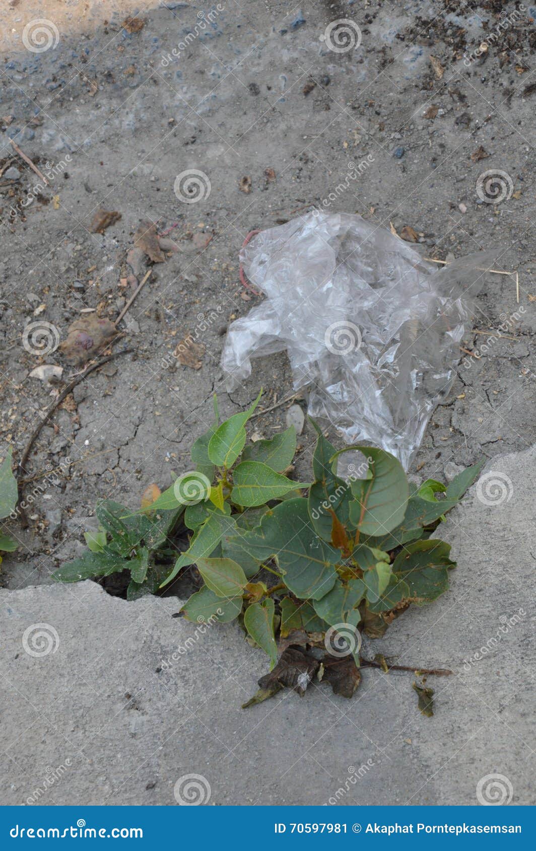 Plastic bag drop on ground stock image. Image of street 70597981