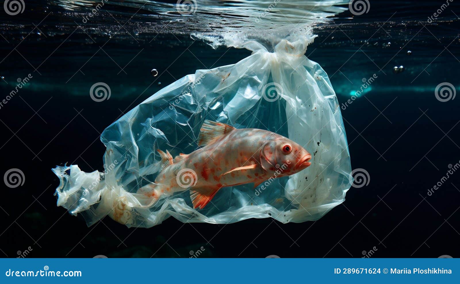 Plastic Bag and Fish in the Ocean. Pollution Concept Stock Illustration