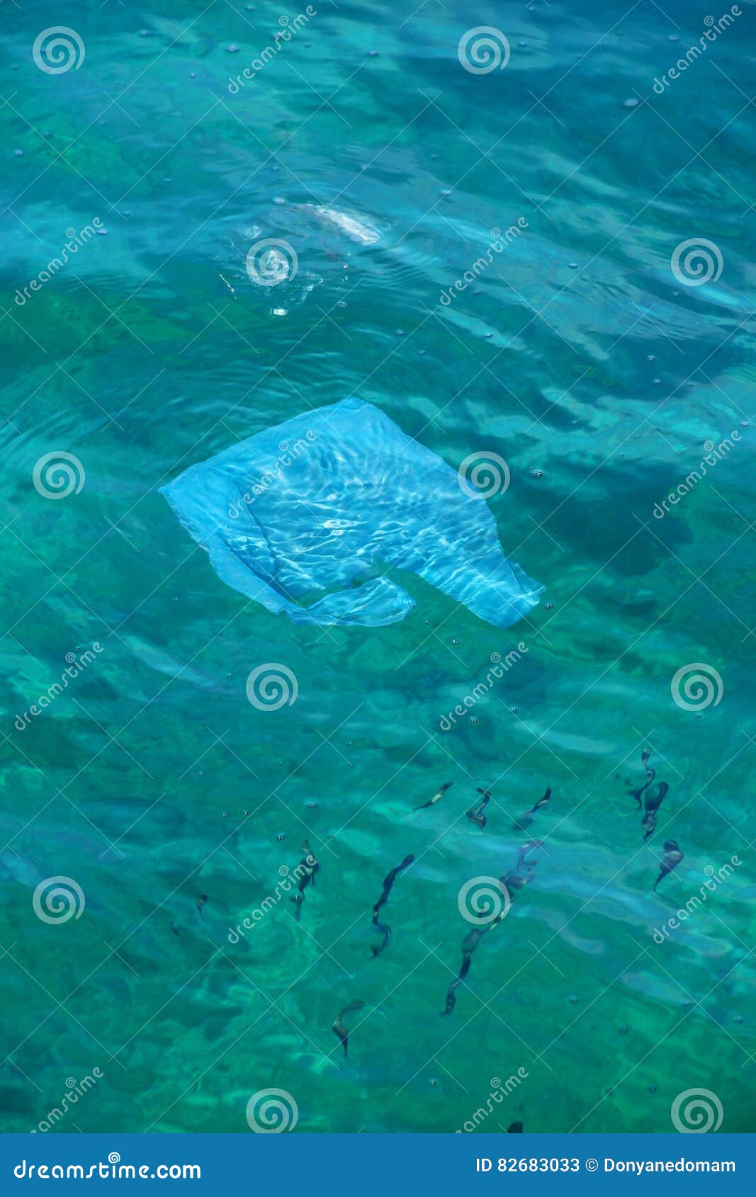 Plastic Bag Floating in Clear Water Stock Image Image of fish