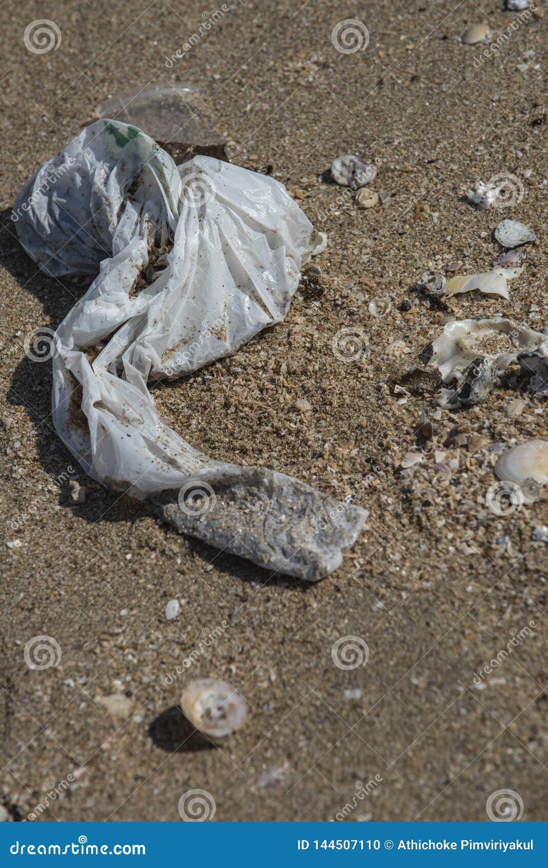Plastic Bag Found Left Trashed On The Beach Surrounded With Sea Shells