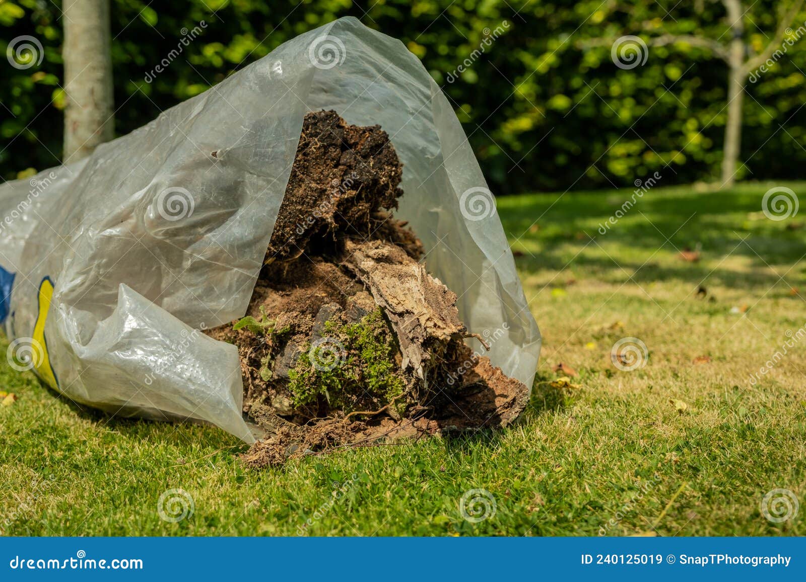 A Plastic Bag of Garden Waste Including Tree Bark and Vegetation, Lying
