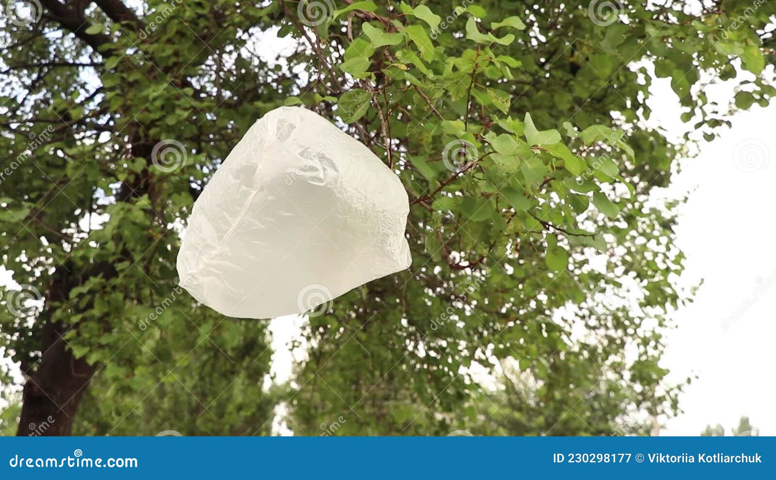 cleaning up forests from plastic pollution, garbage bag under tree, no  people 21509752 Stock Photo at Vecteezy