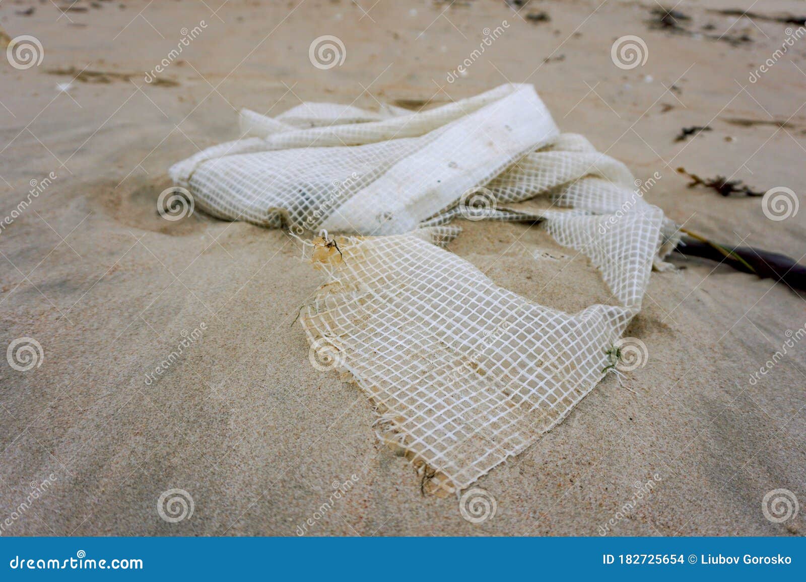 Plastic Bag on a Sand after Sea Storm. Ecological Problem Stock Photo Image of sand, white