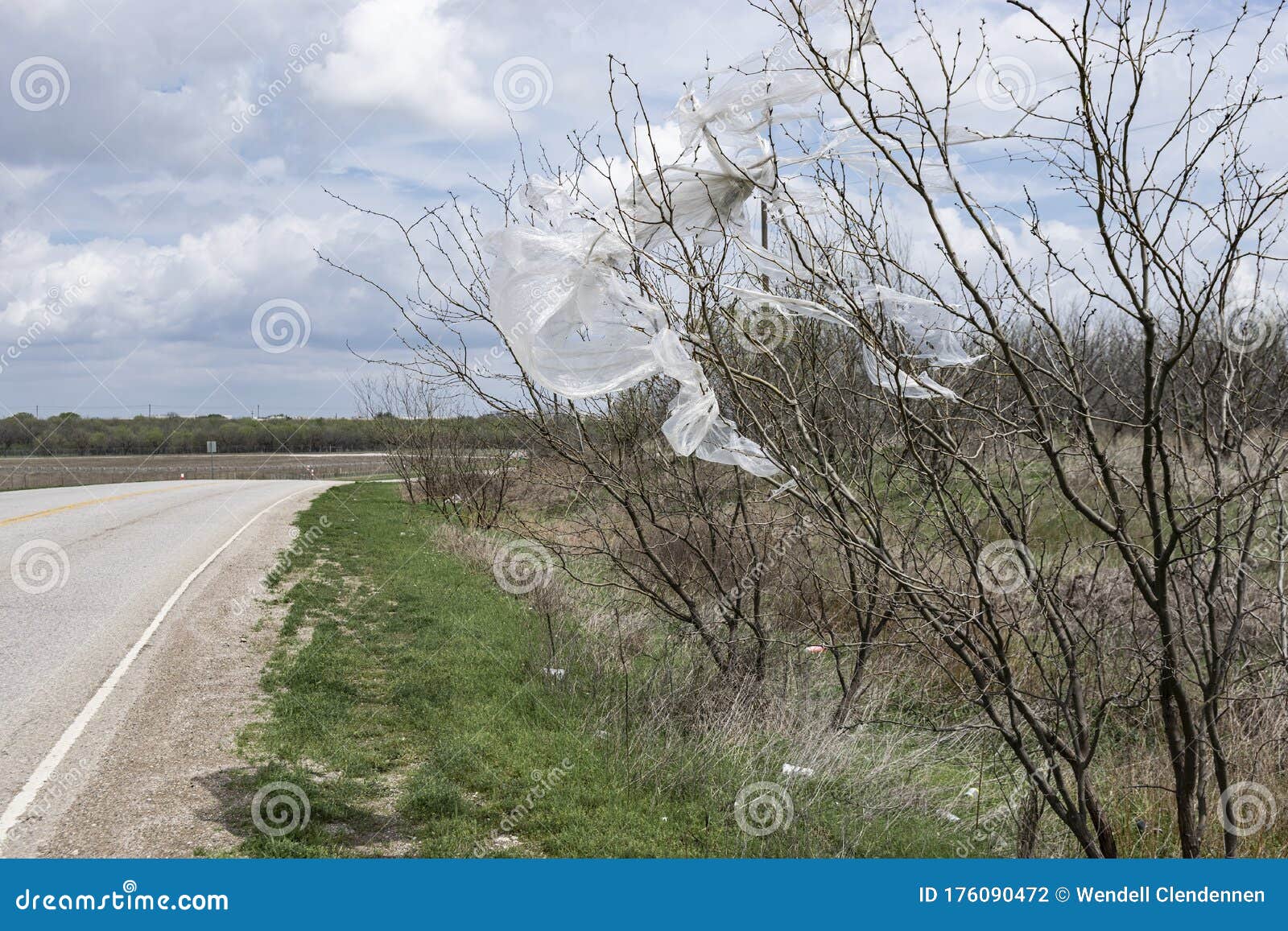 Plastic Bag Stuck in Tree on Side of Road Stock Photo Image of littering, climate 176090472