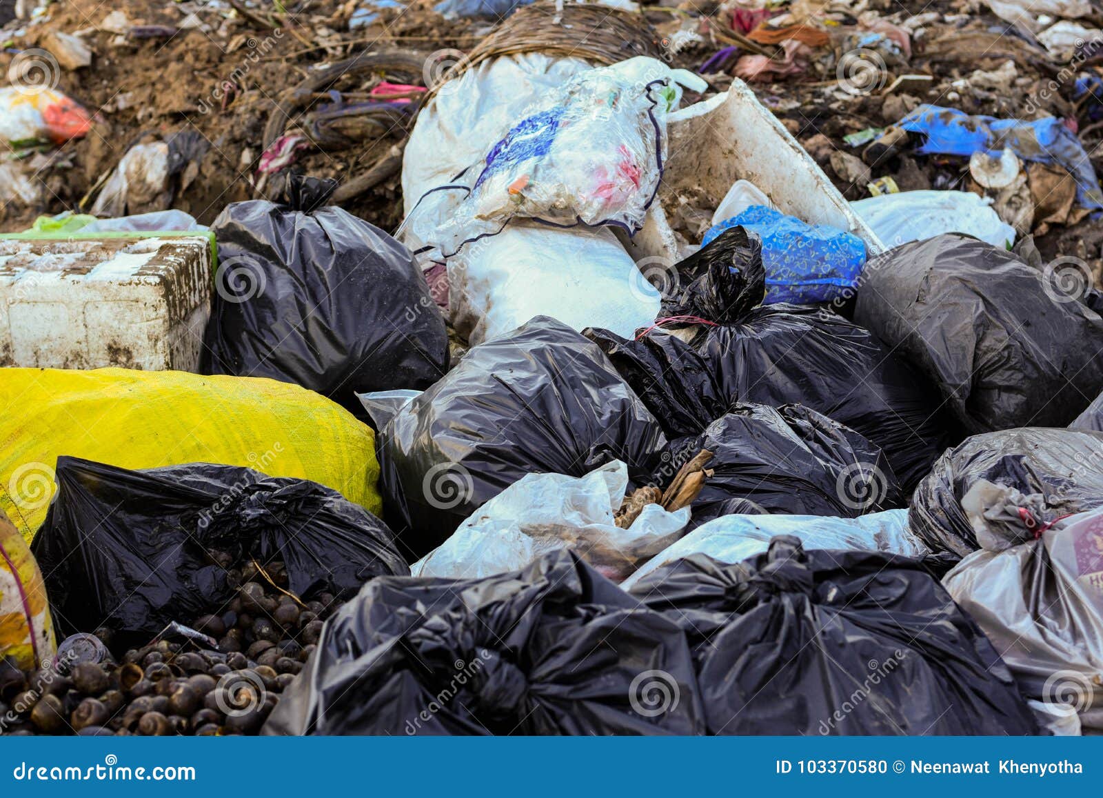 decomposing trash bags