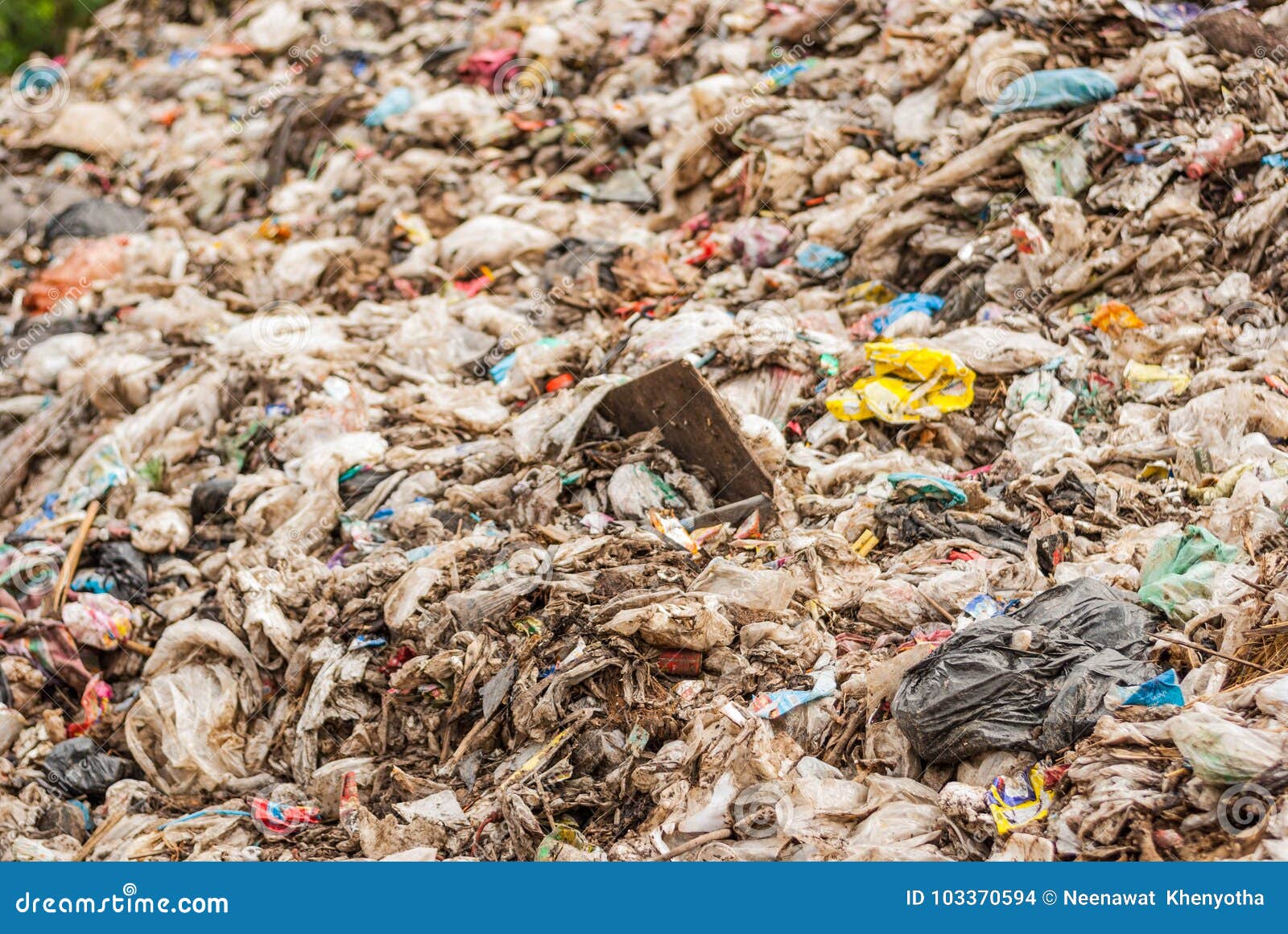 Plastic Bags in the Garbage. Stock Photo Image of green, industrial
