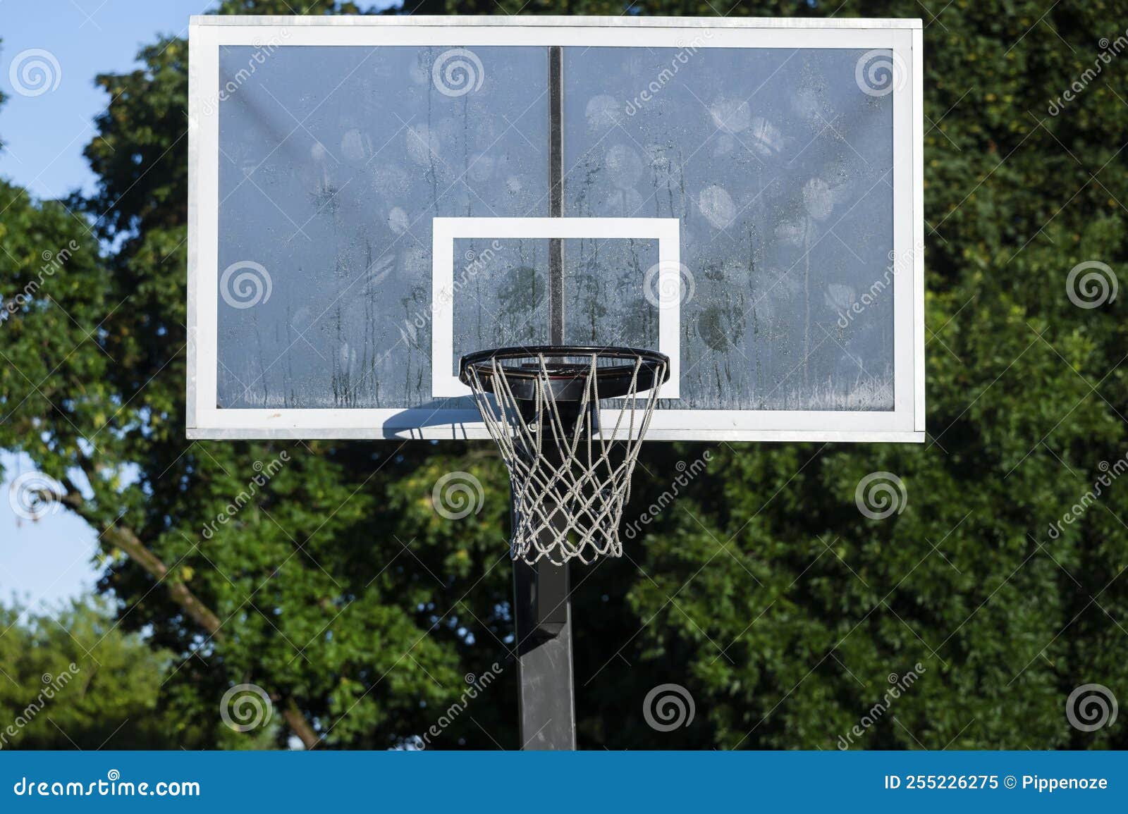 Plastic Basketball Board with Hoop and Net in Nature Stock Image Image of green, arena 255226275