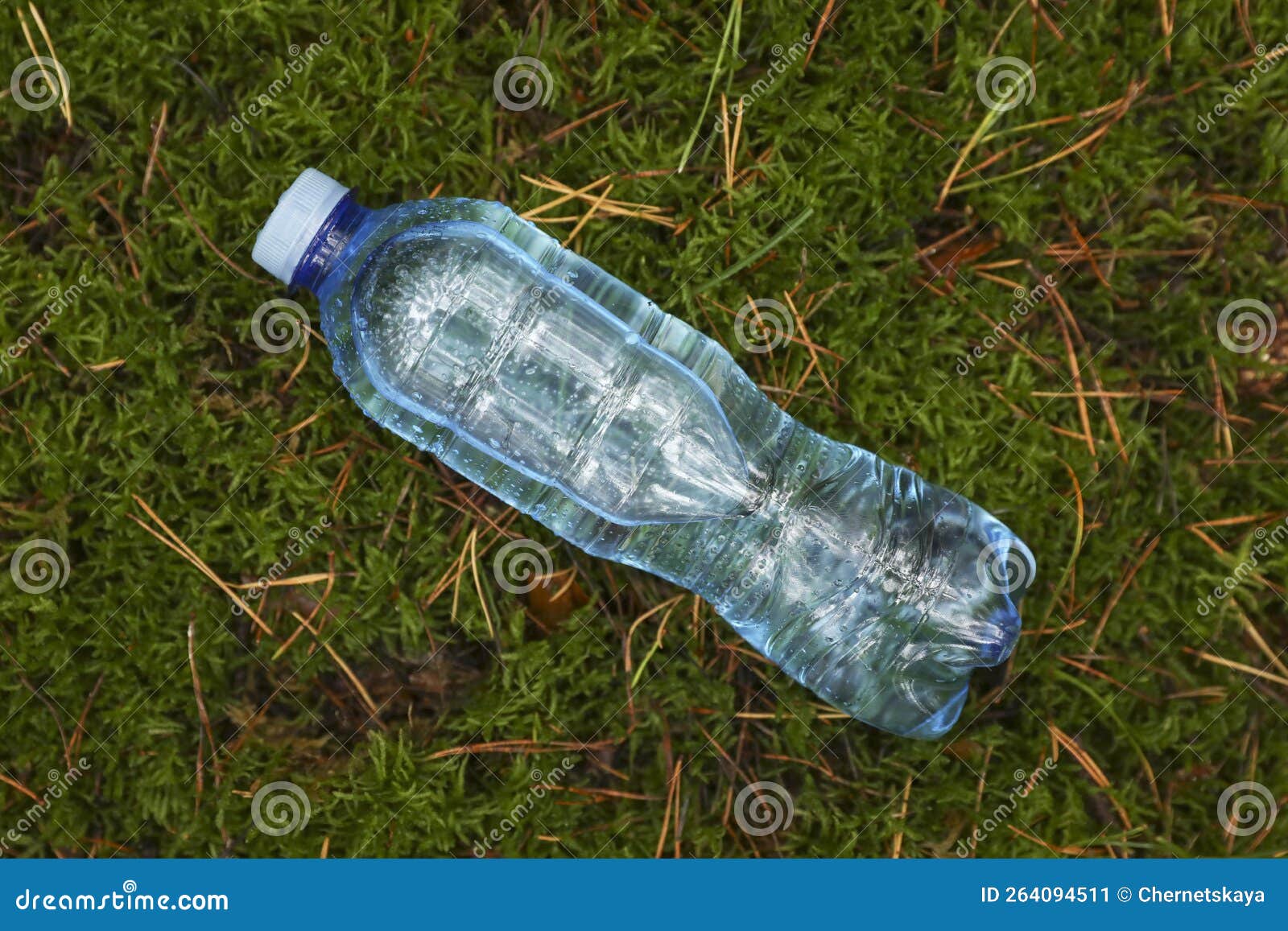 Plastic Bottle of Fresh Water on Green Grass, Top View Stock Image