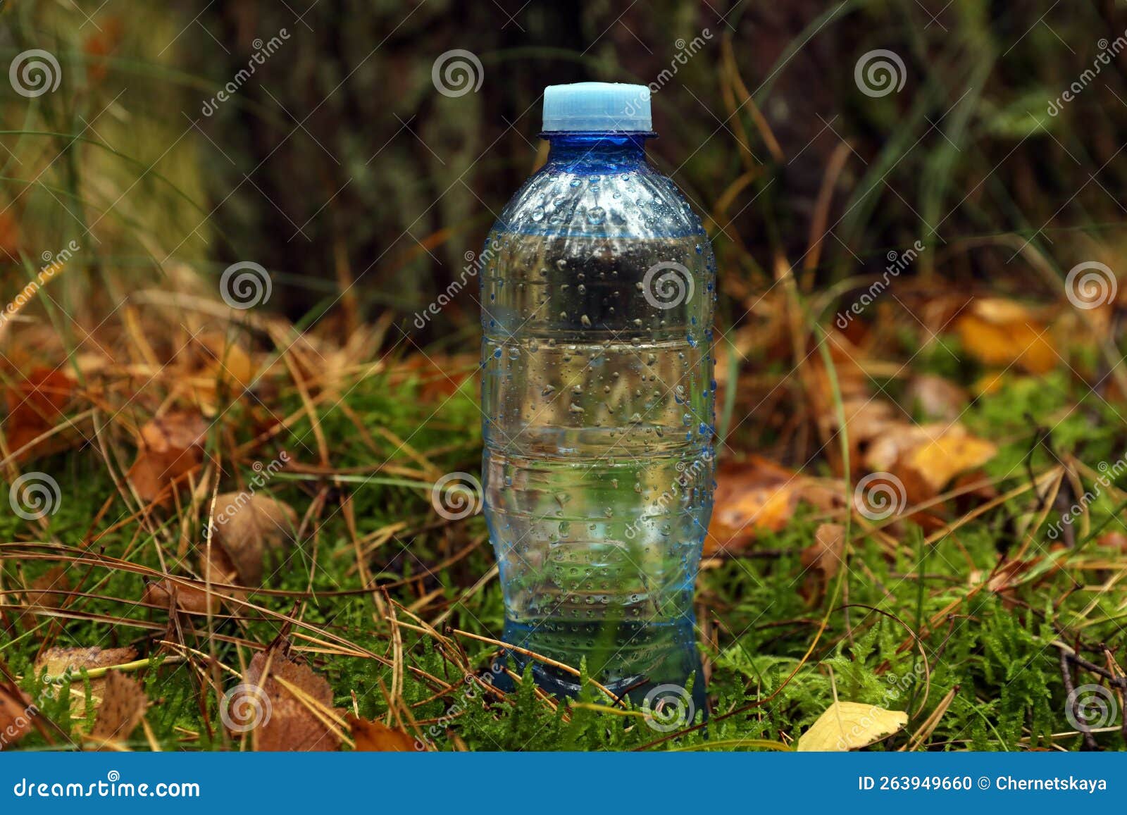 Plastic Bottle of Fresh Water on Ground in Forest Stock Photo Image