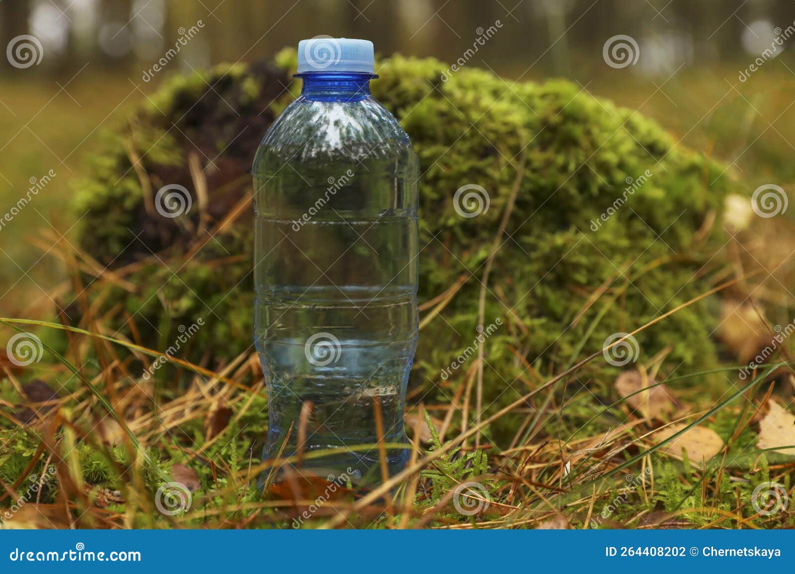 Plastic Bottle of Fresh Water on Ground in Forest Stock Photo Image