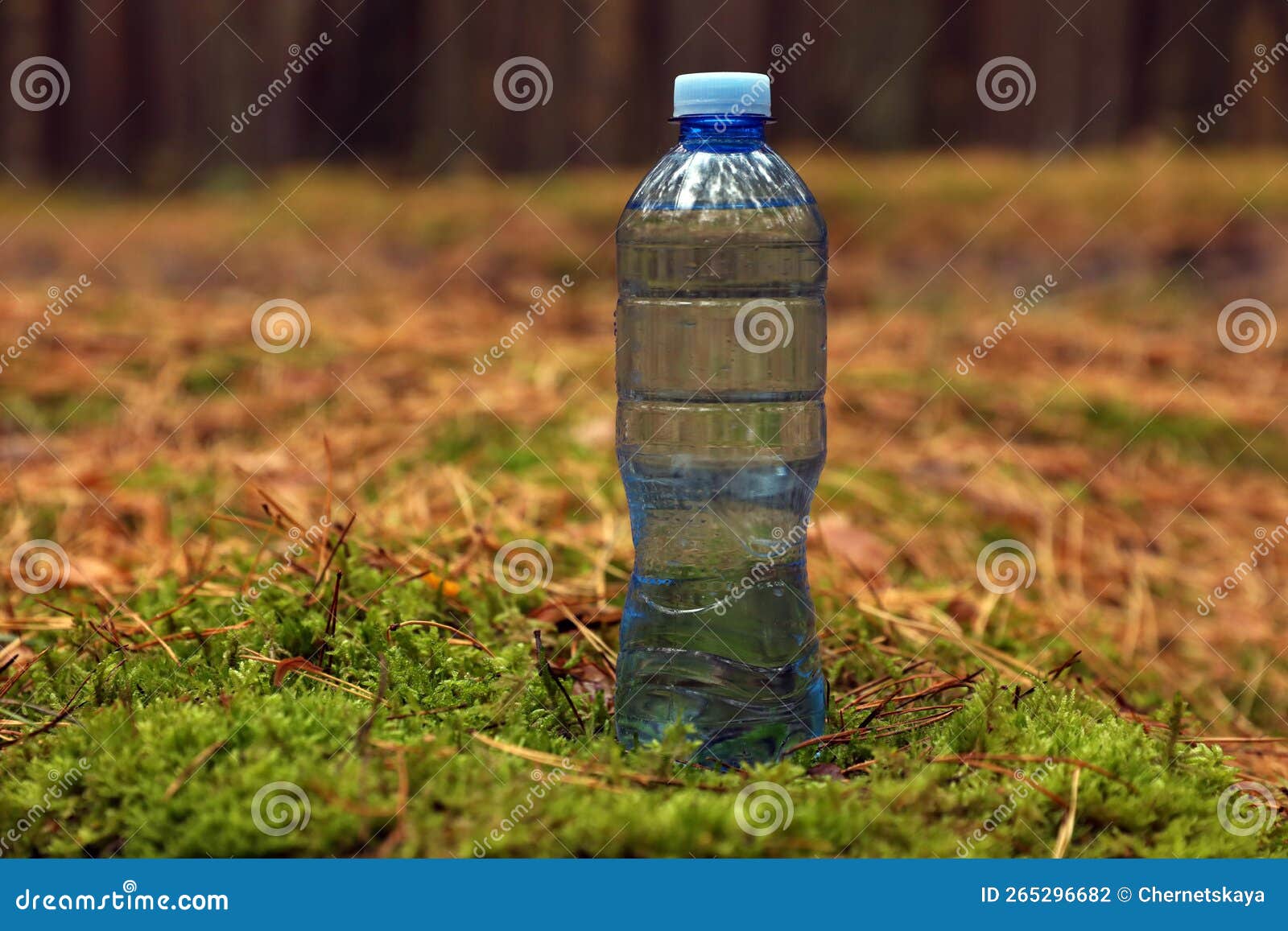 Plastic Bottle of Fresh Water on Ground in Forest Stock Photo Image