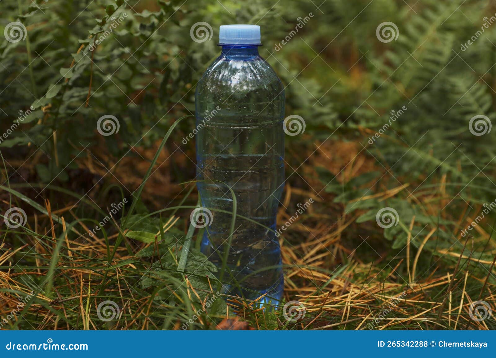 Plastic Bottle of Fresh Water on Ground in Forest Stock Photo Image