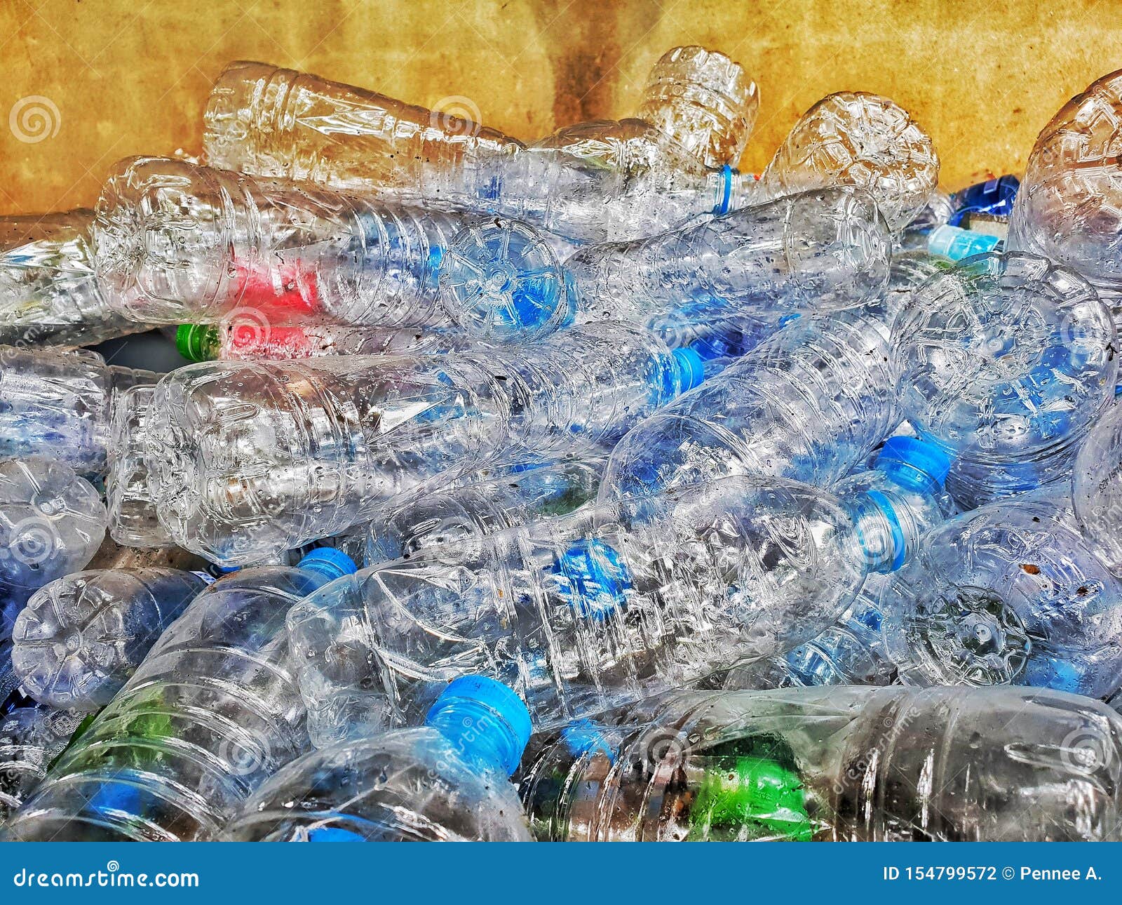 Plastic Bottles in the Recycling Bin, Waste Management Processing Stock
