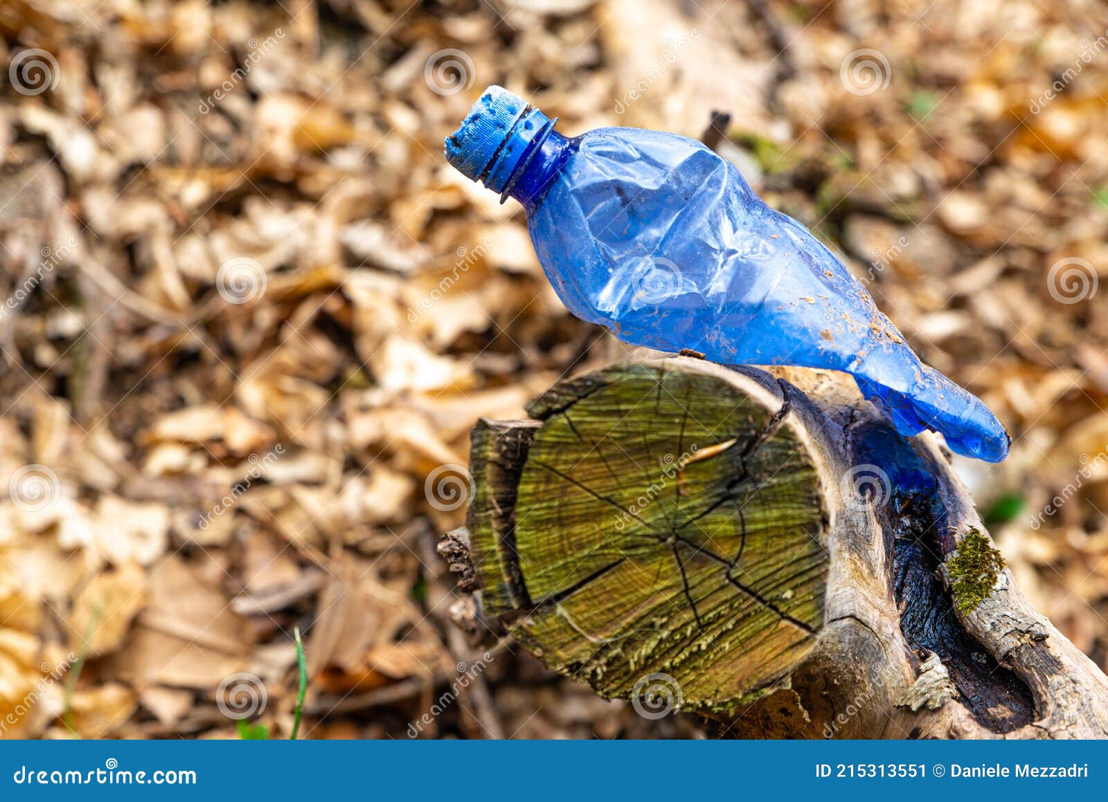 Plastic Bottles Thrown Away in the Environment. Stock Image Image of
