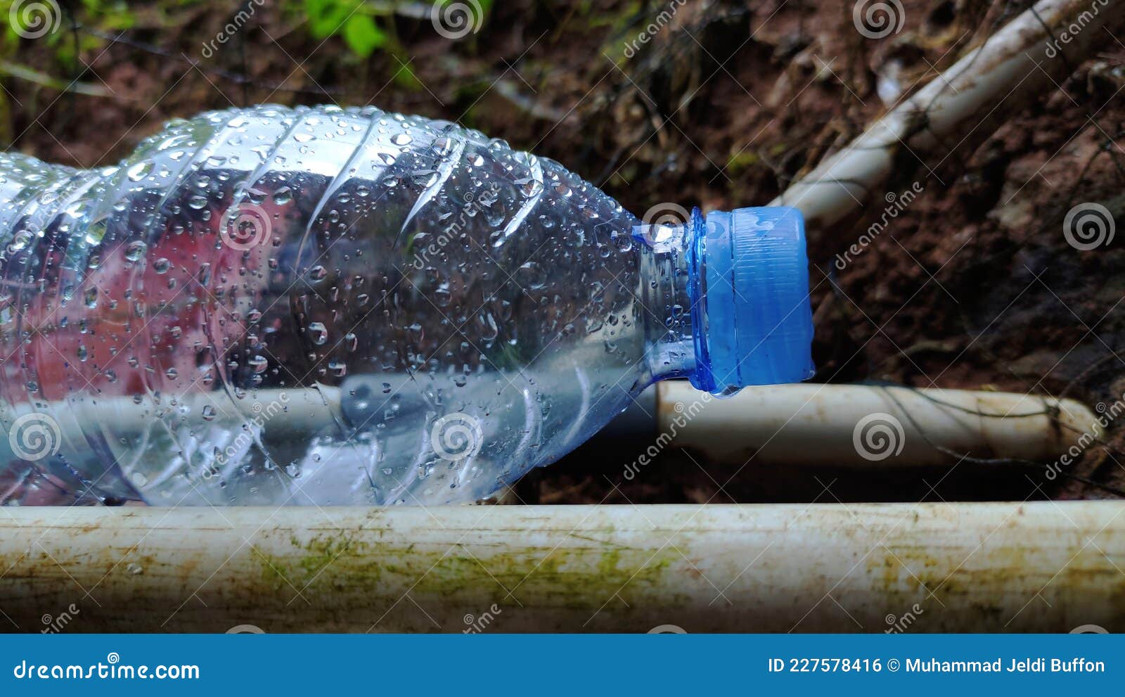 Wet plastic bottles stock photo. Image of flower, rainy 227578416