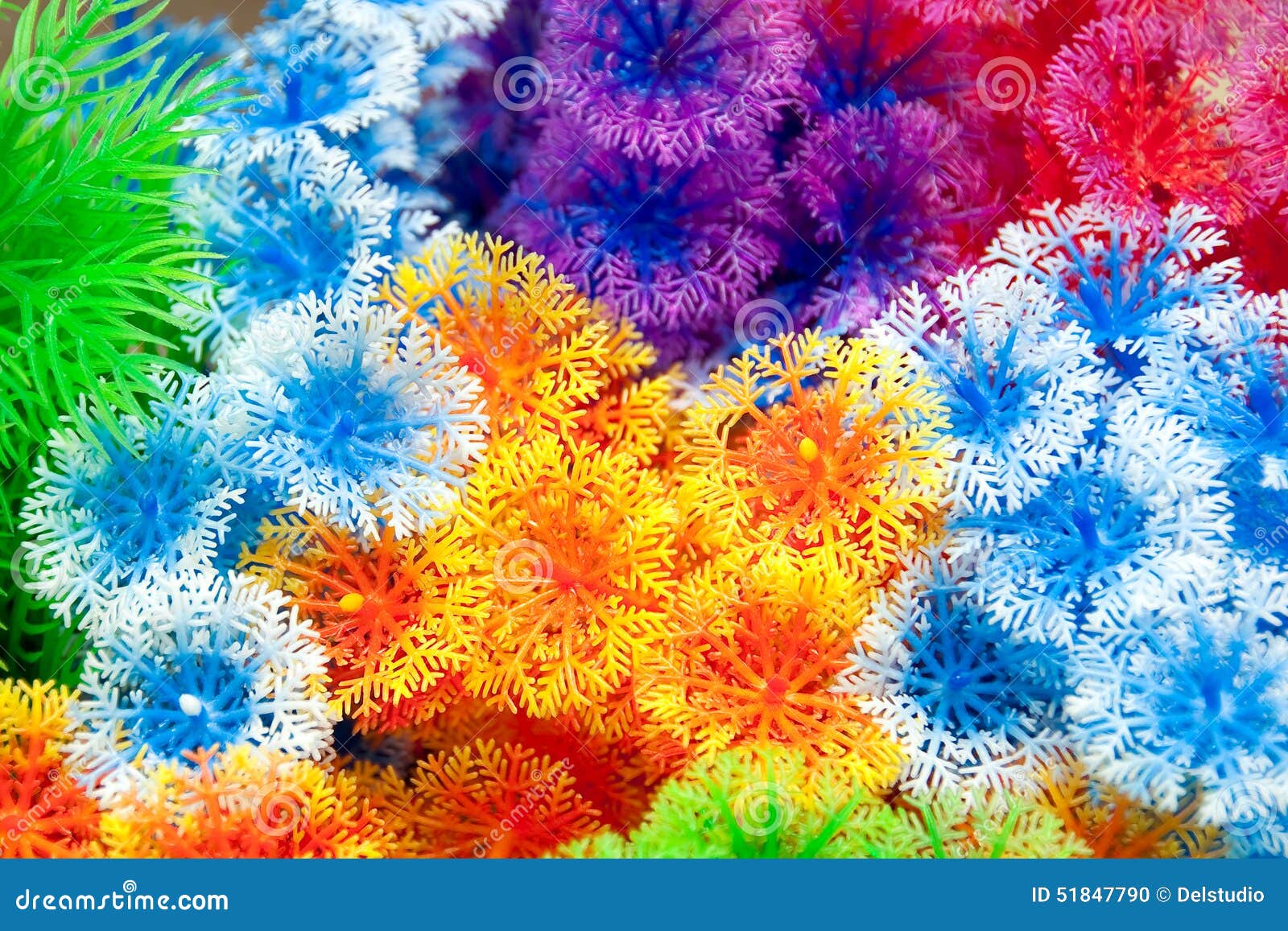Plastic Colorful Decorative Plants Stock Photo Image of plants