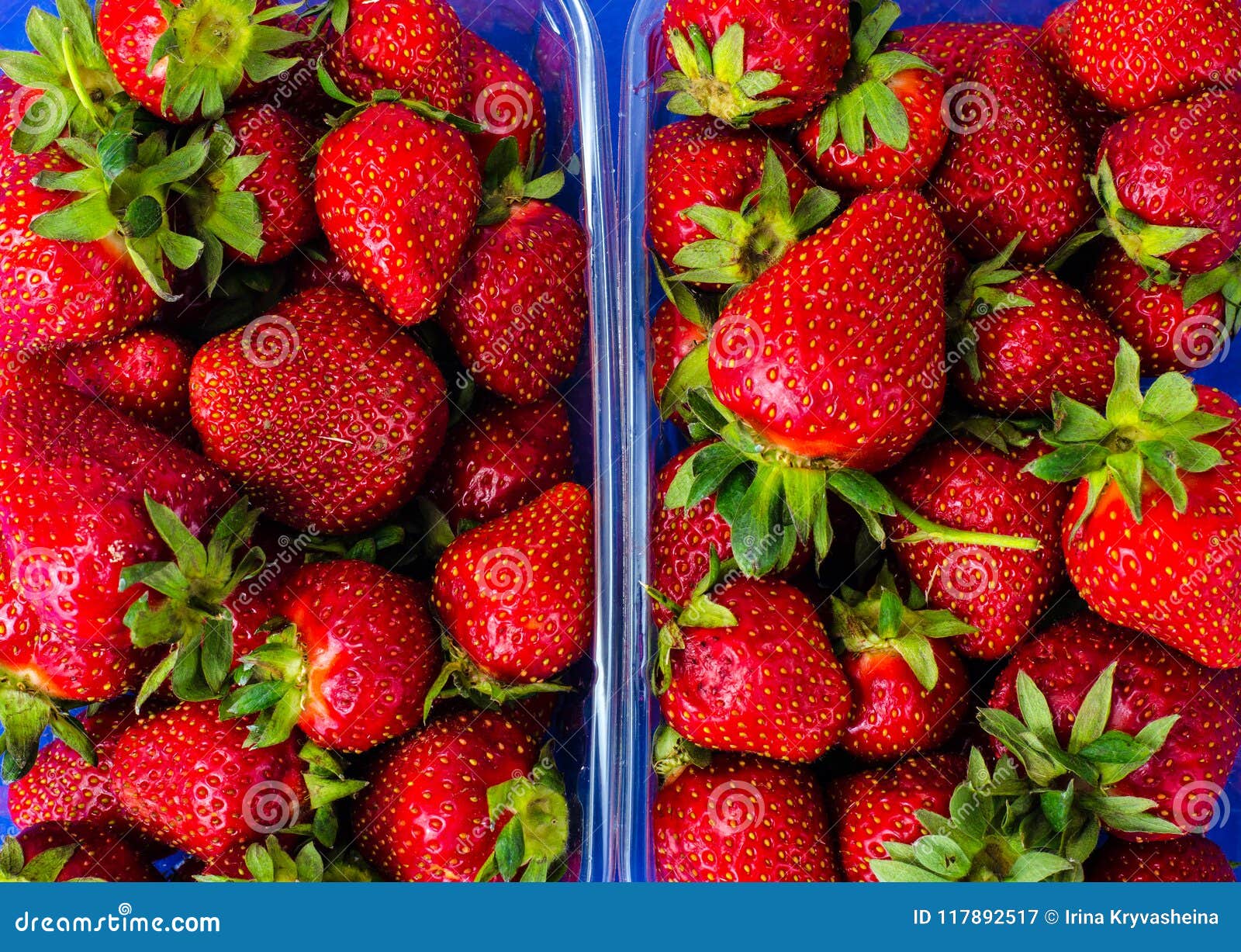 Plastic Container with Fresh Strawberries Stock Image Image of fruit