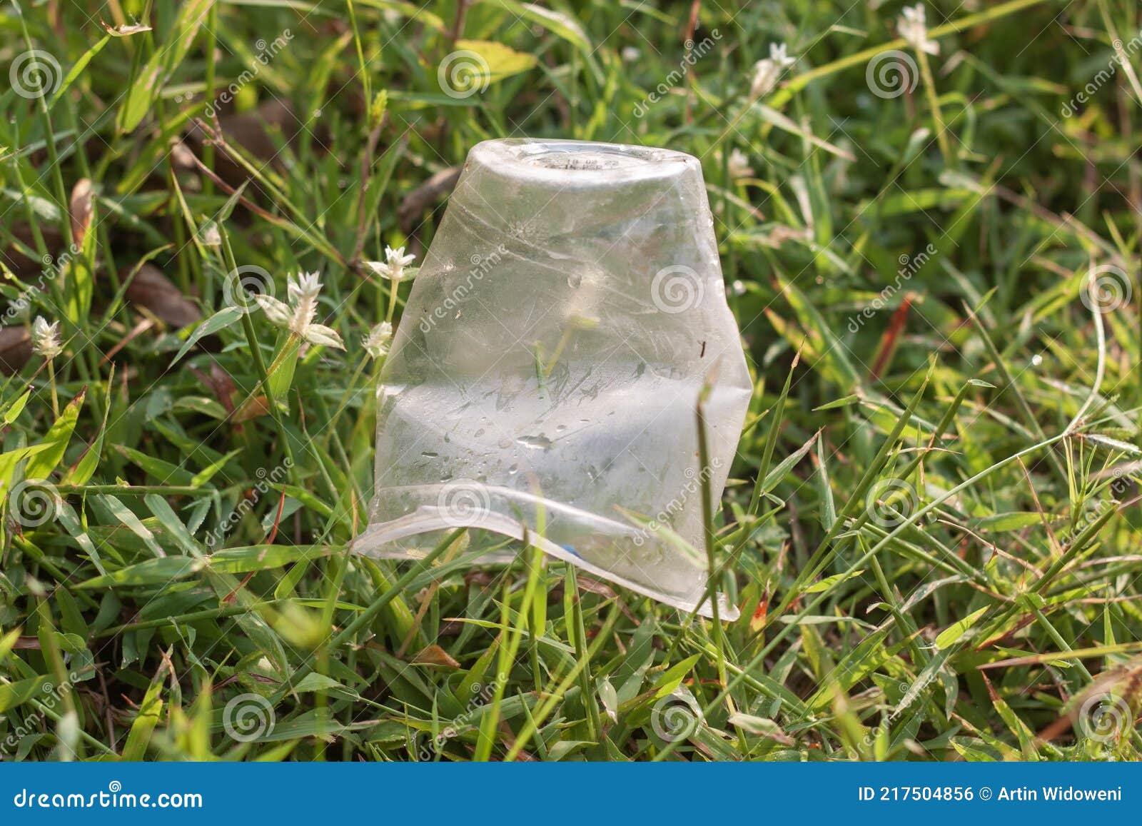 Plastic Cup Lying in the Grass Morning Light Stock Photo Image of