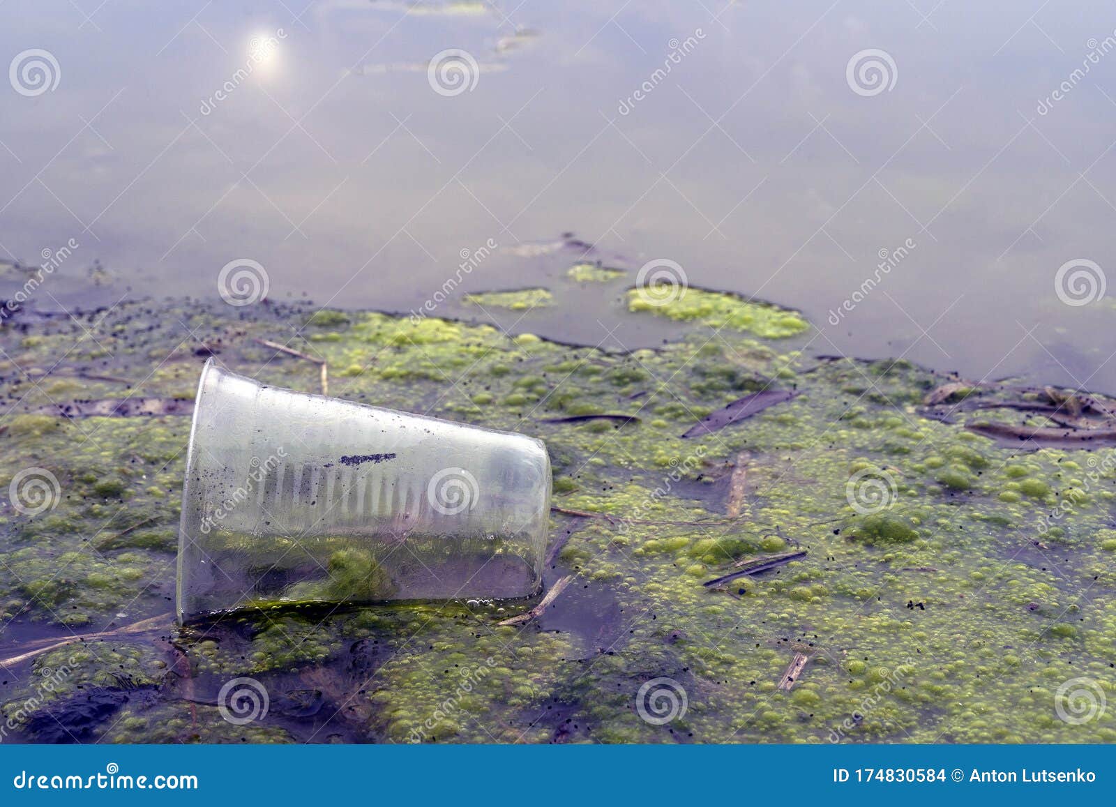 A Plastic Cups Floating in Polluting River or Lake Stock Photo Image of rubbish, background