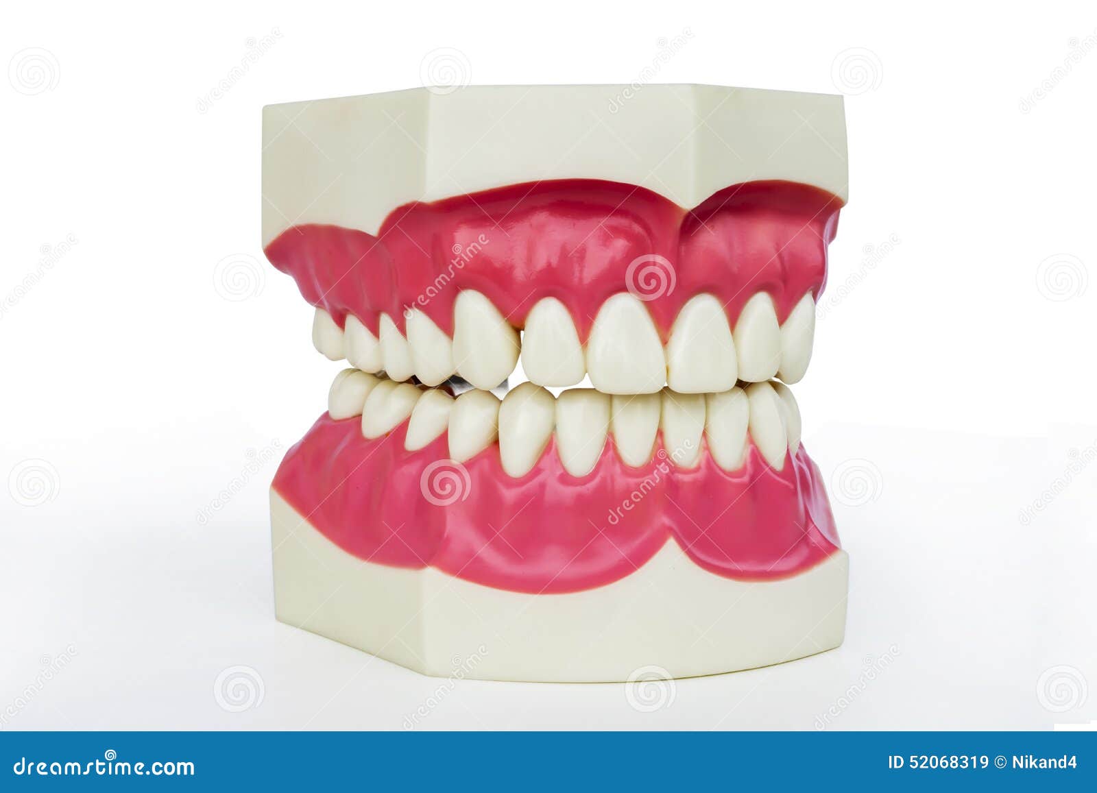 Plastic dentures stock image. Image of gingivitis, oral 52068319
