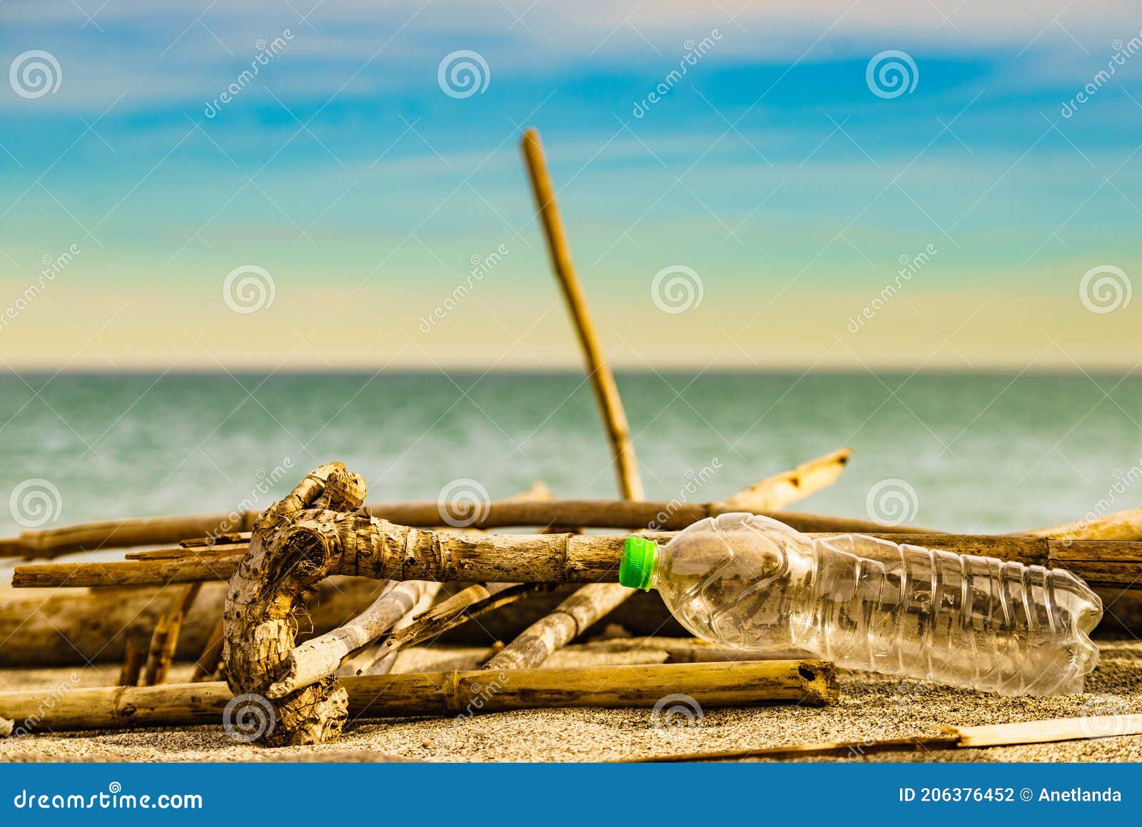 Plastic Empty Water Bottle Abandoned on Nature Stock Photo Image of
