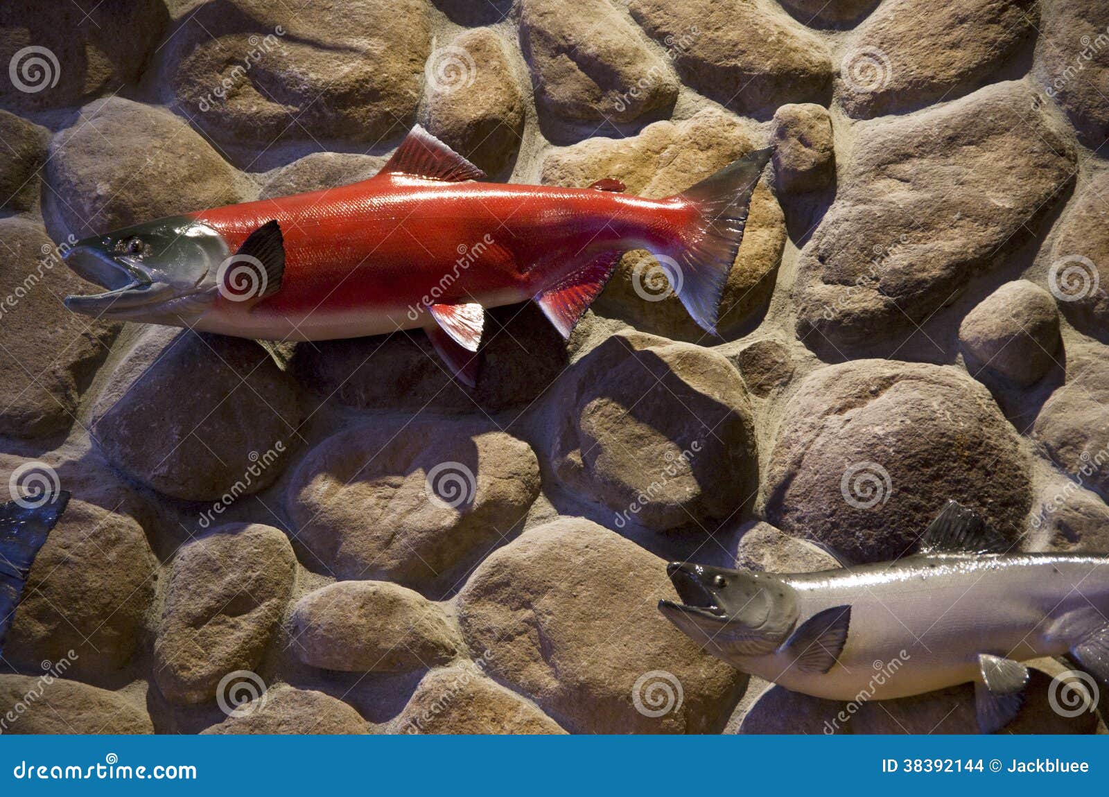 Plastic fish on wall art stock photo. Image of design 38392144