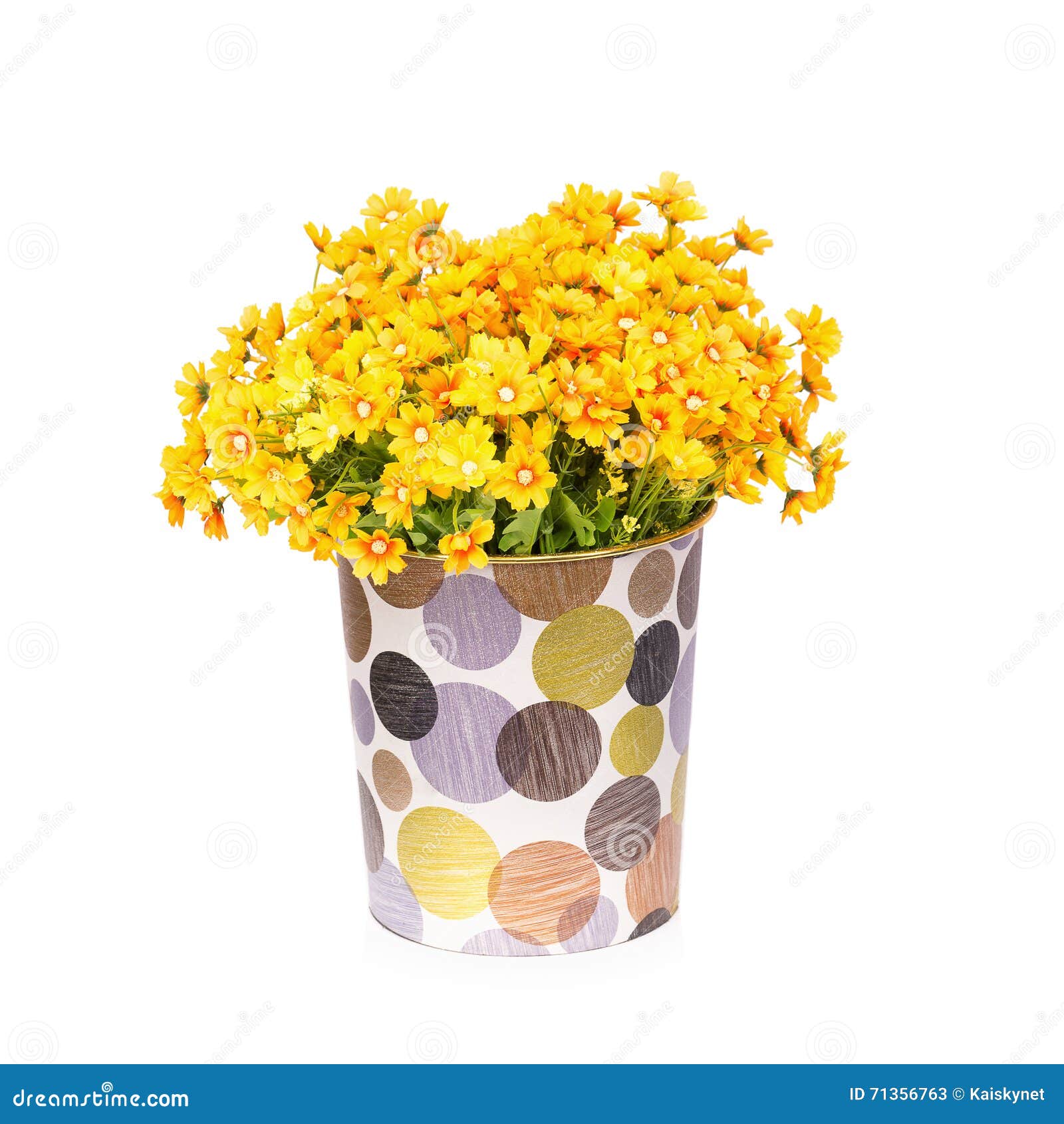 Plastic Flower for Decoration Stock Image Image of floral, bloom 71356763