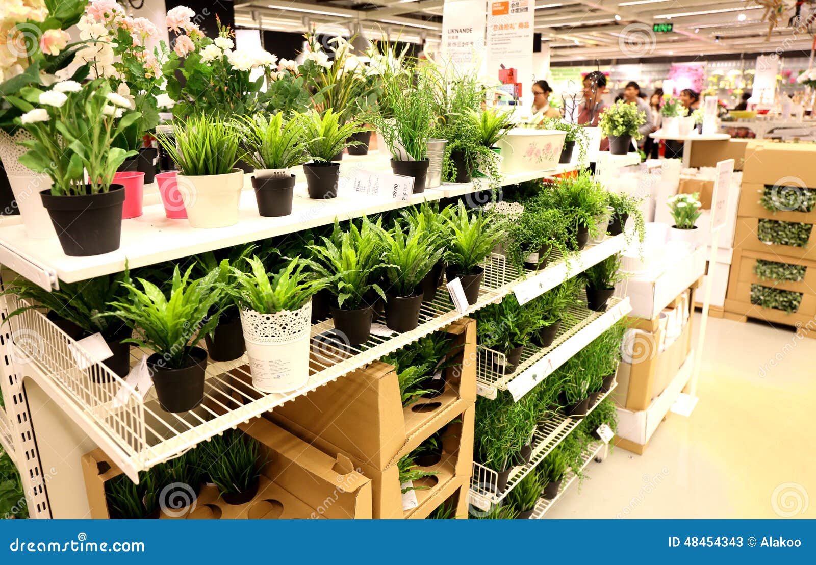 Flower retail store shop editorial stock photo. Image of buyers 48454343