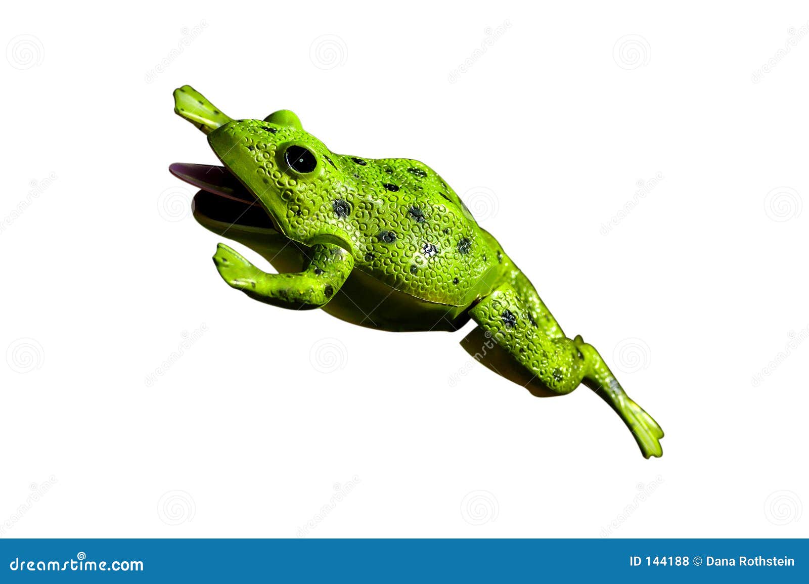 Plastic Frog stock photo. Image of wild, reptile, wildlife 144188