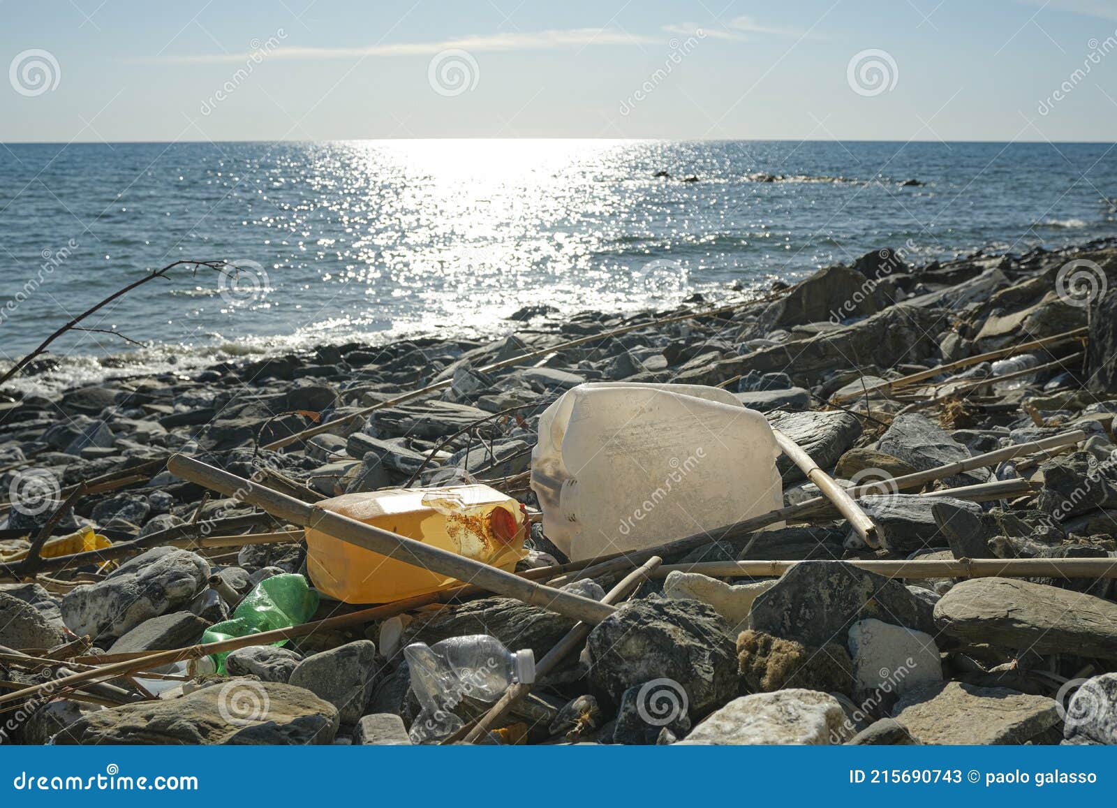 Plastic Fuel Tank Discarded on Contaminated Sea Coast Ecosystem ...