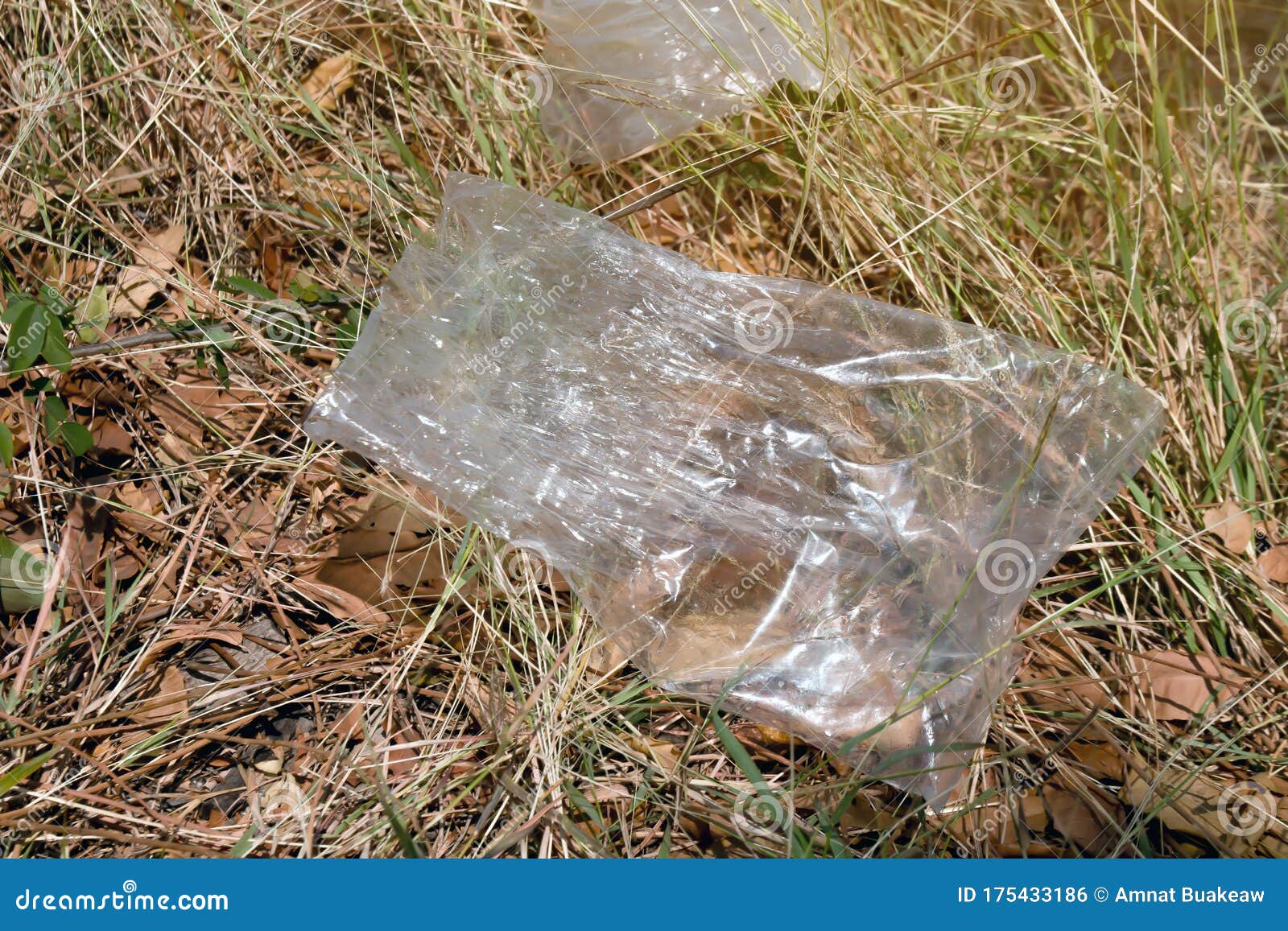 Plastic Garbage Bags on the Grass, Plastic Bag Waste Dirty, Dirty Bags