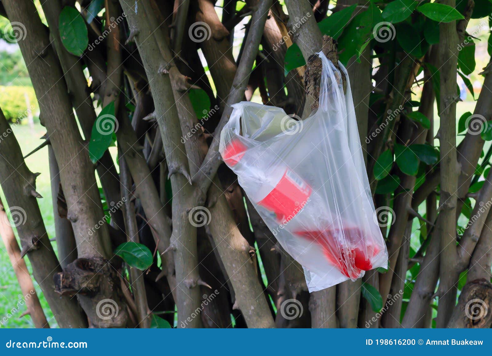 Plastic Garbage Bags Hanging on the Tree, Plastic Waste Pollution Stock  Photo - Image of polyethylene, bags: 198616200