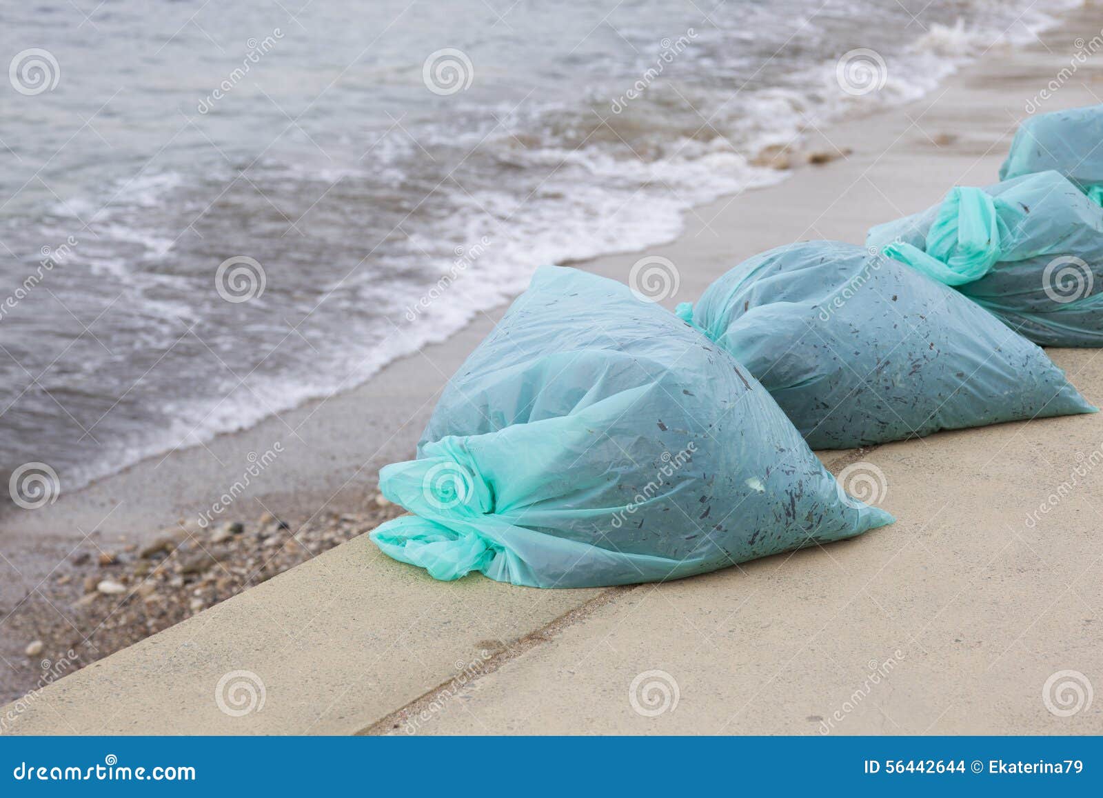 Plastic Garbage Bags with Seaweed. Stock Photo Image of water