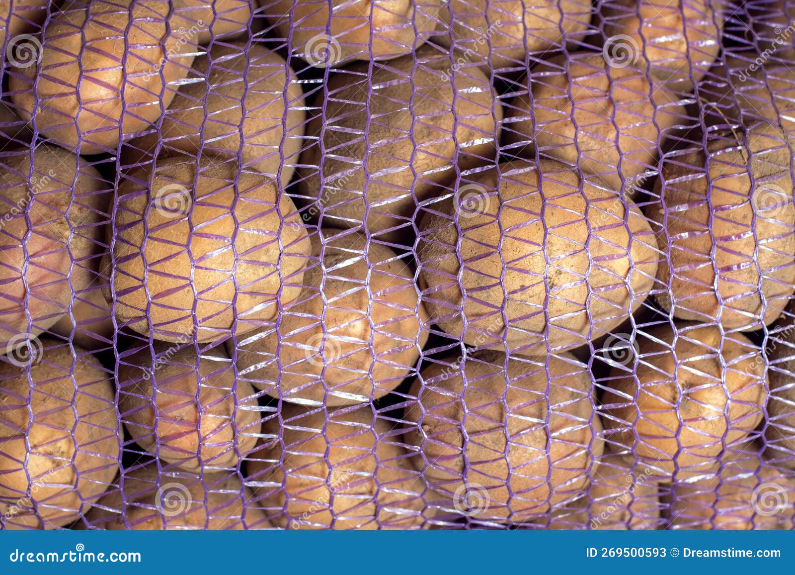 Plastic grid of potato stock image. Image of natural 269500593